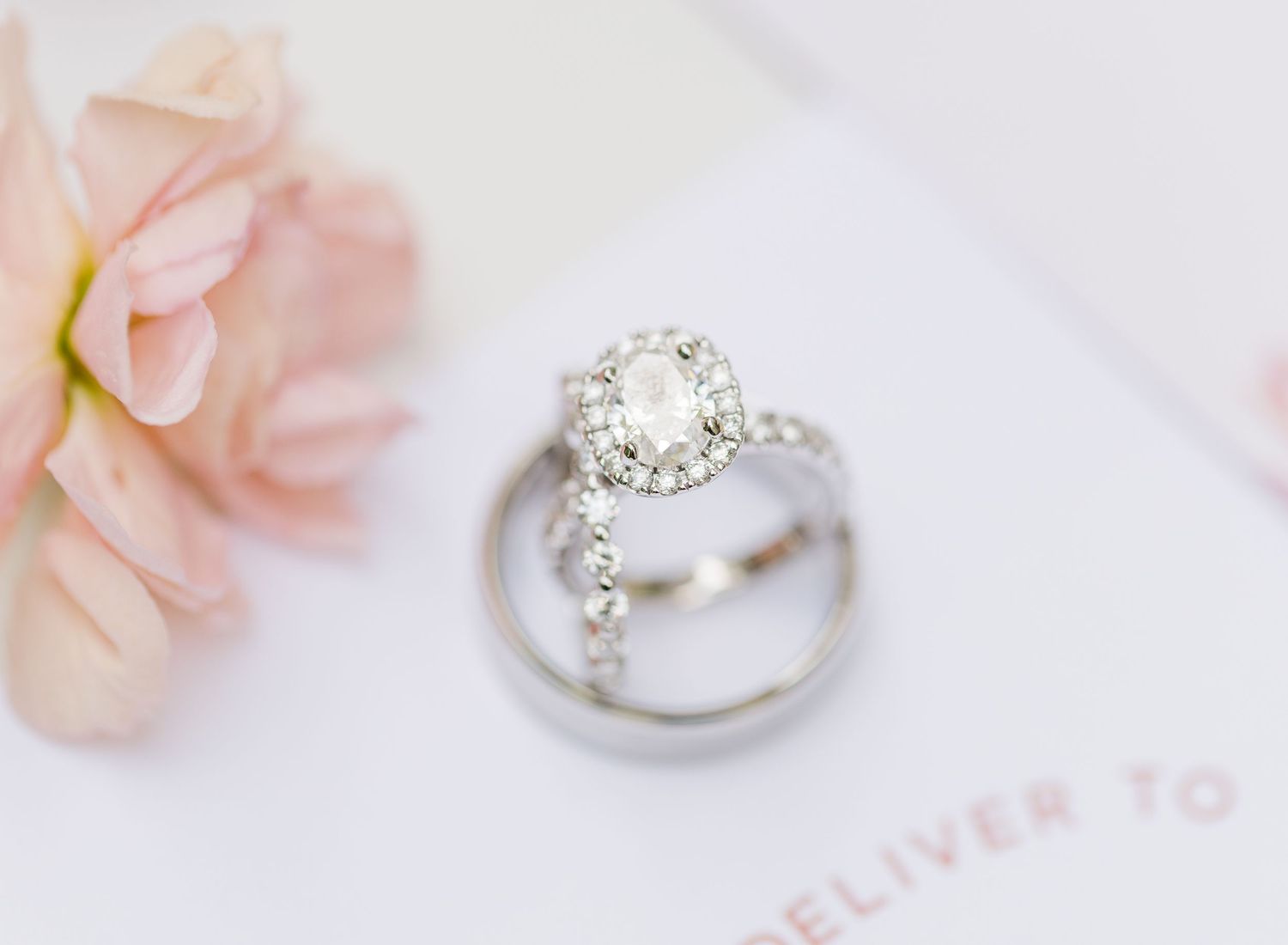 Elegant diamond engagement rings nestled among soft pink and cream rose petals.