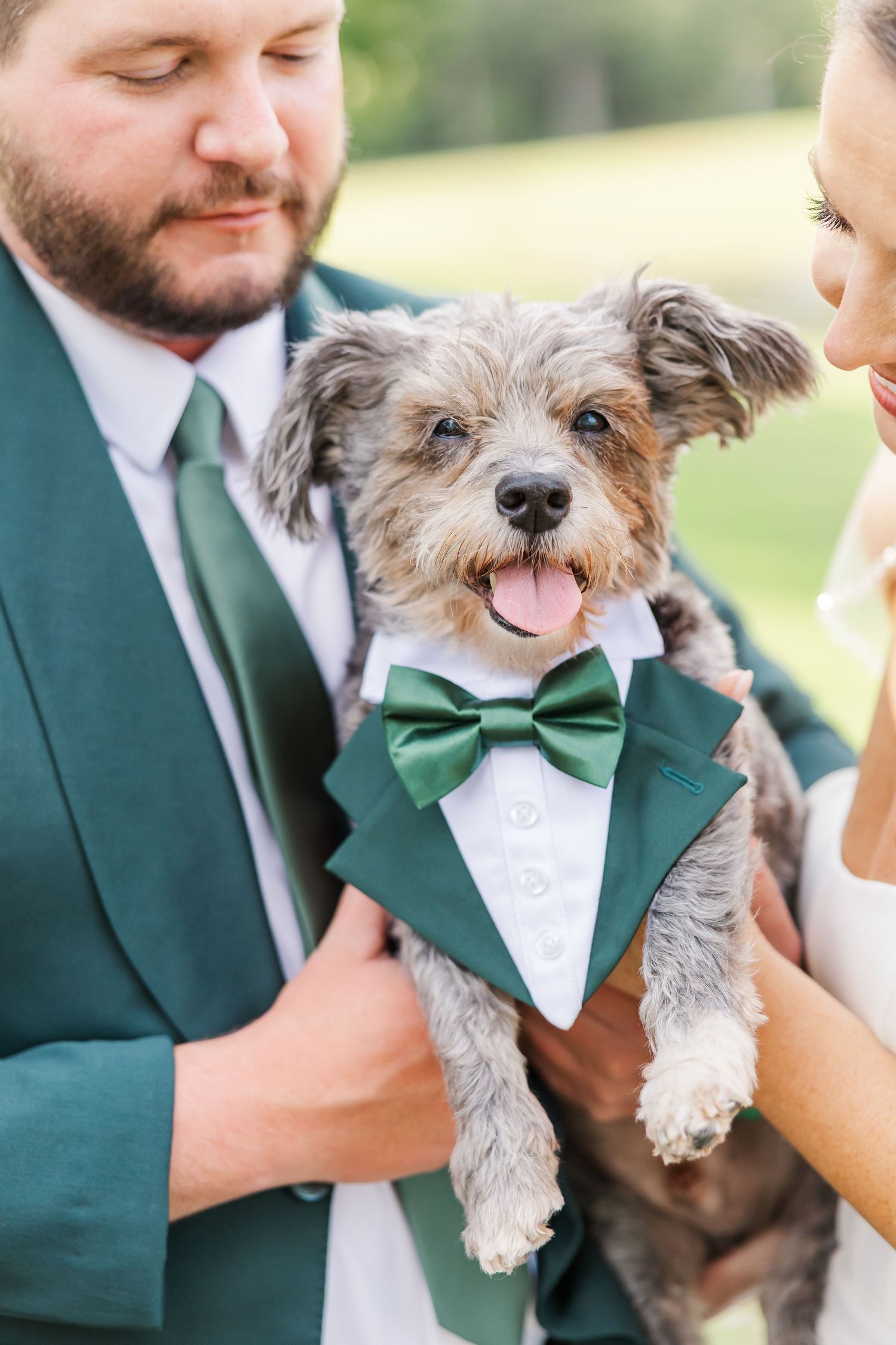 Small gray dog wearing a green bowtie is held during a formal outdoor event.
