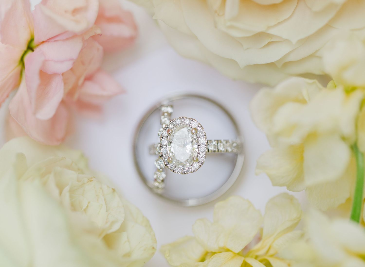 Close-up of sparkling diamond rings displayed with delicate blush and ivory roses.