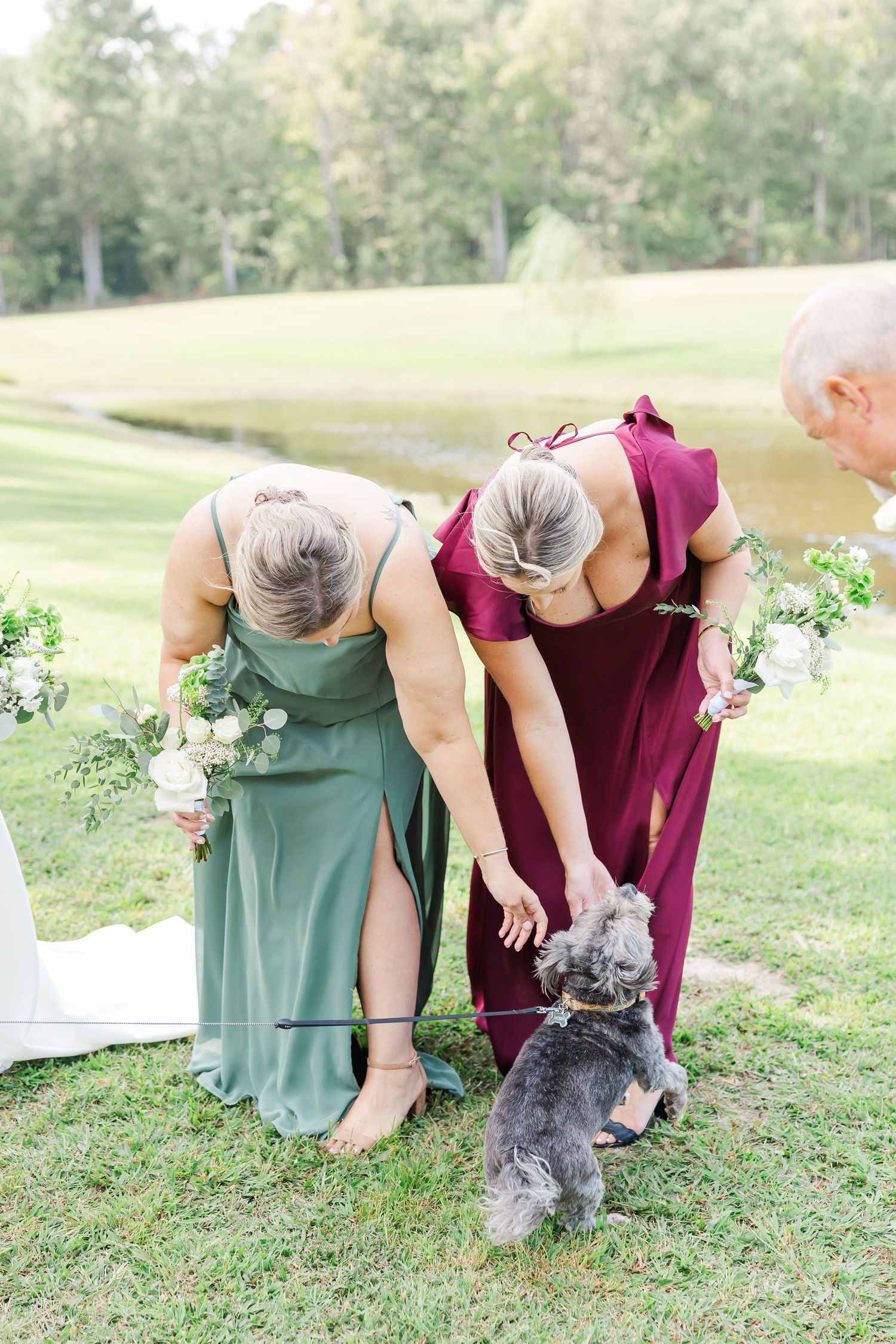 Wedding party in sage green and burgundy dresses bends down to pet a small gray dog on grassy lawn.