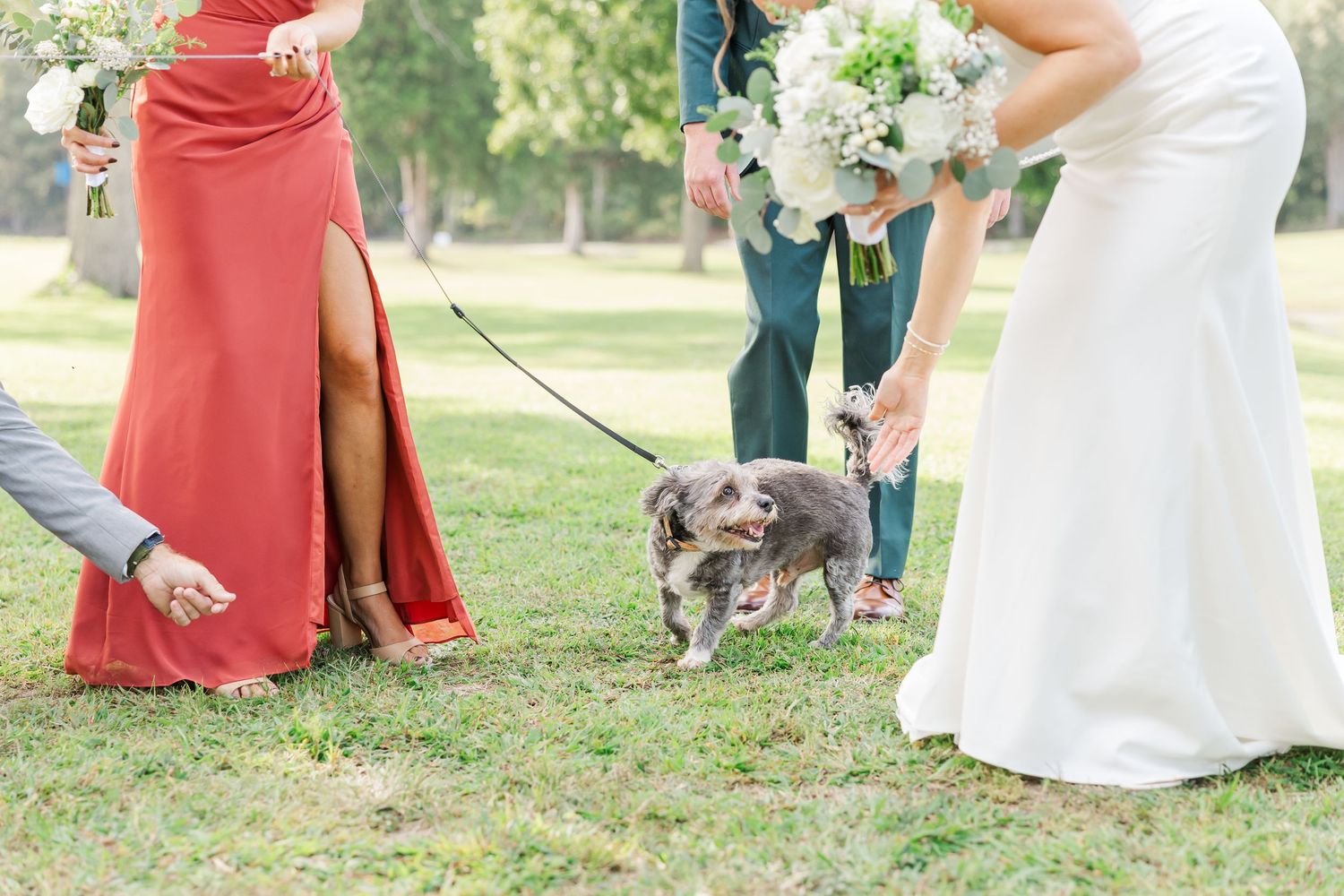 A dog wearing a bowtie sits on grass near wedding guests in coral dresses and formal attire at an outdoor ceremony.