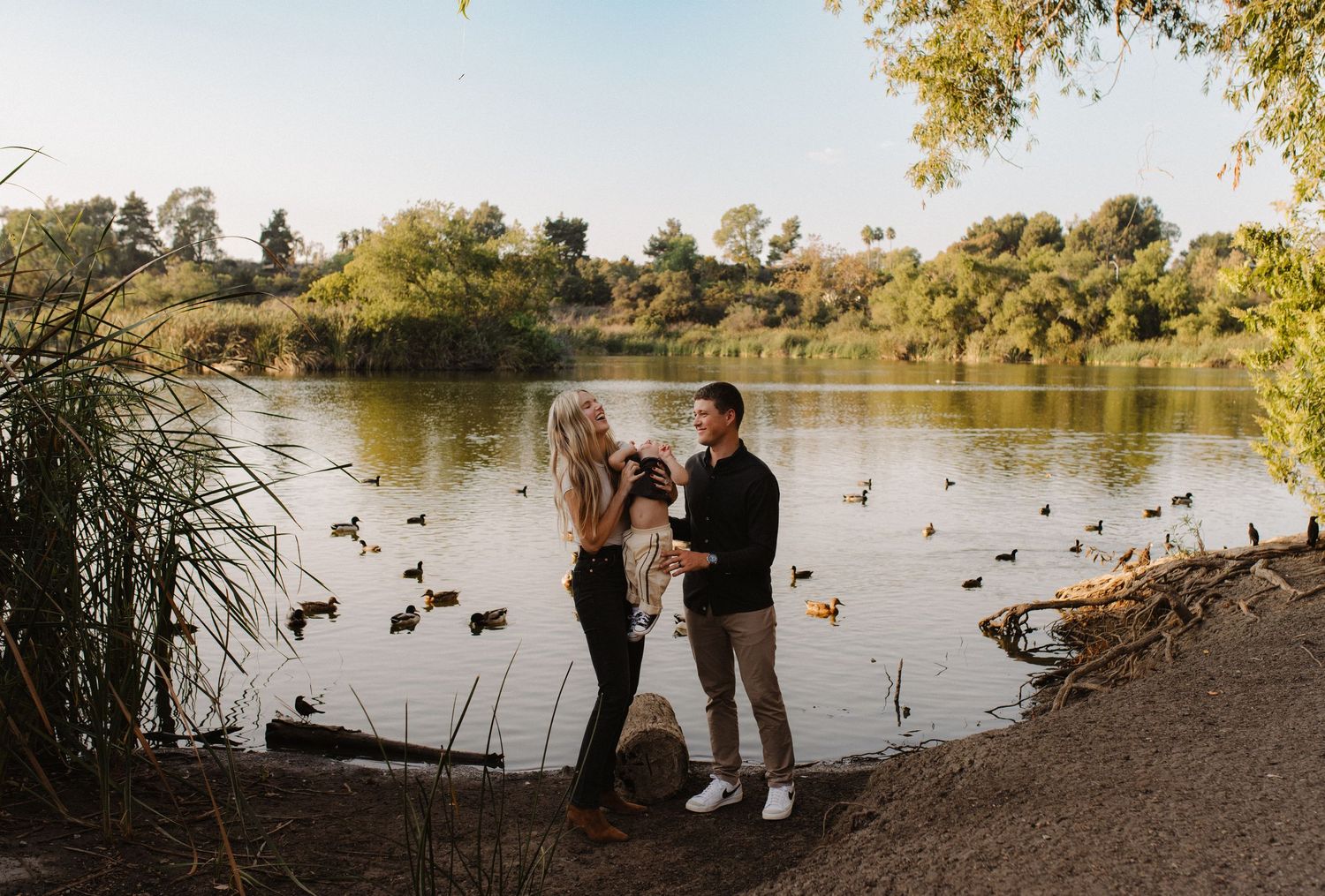 Scenic lakeside moment with ducks swimming in the background at sunset.