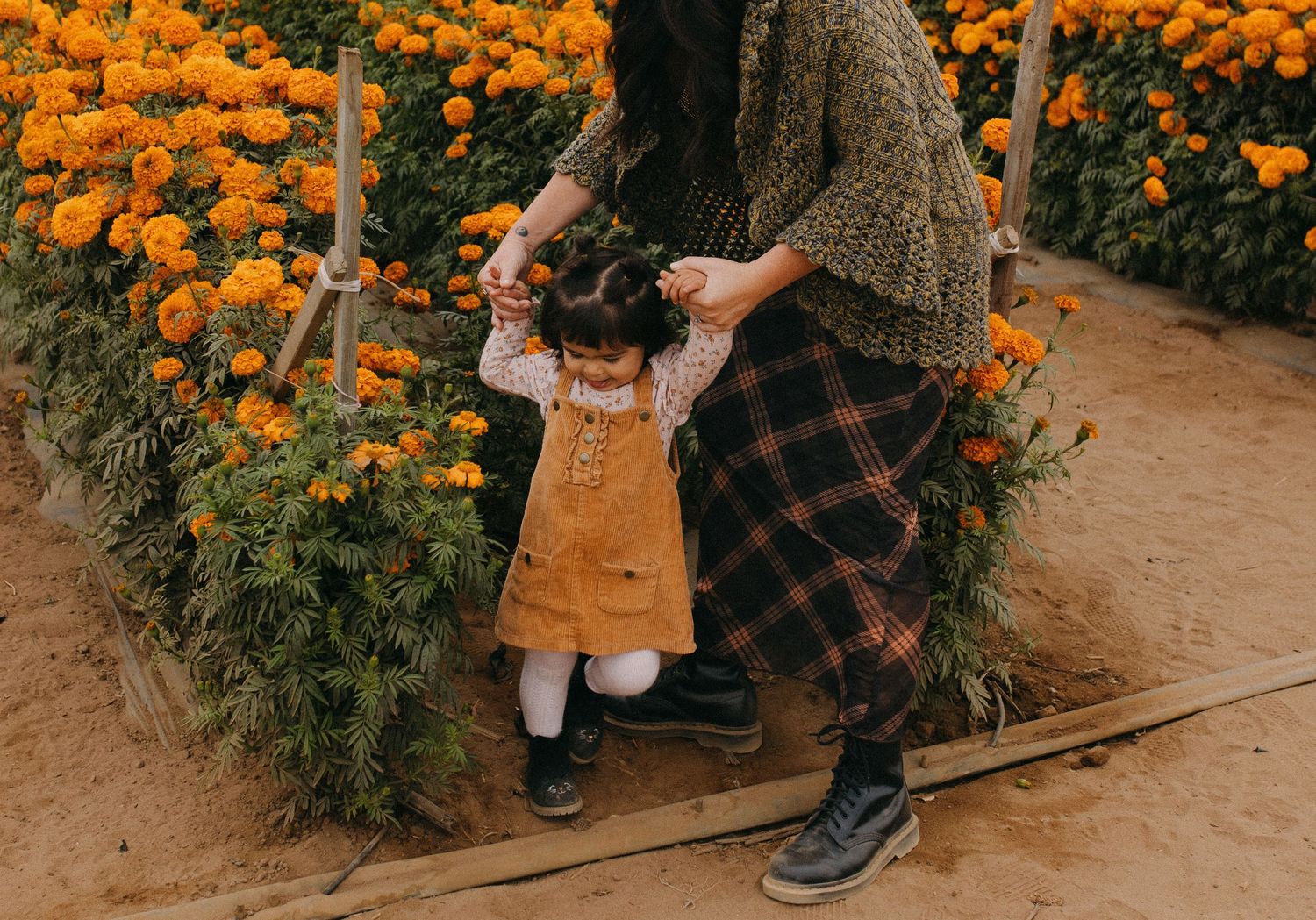 Garden path lined with tall orange marigolds on a sunny day.