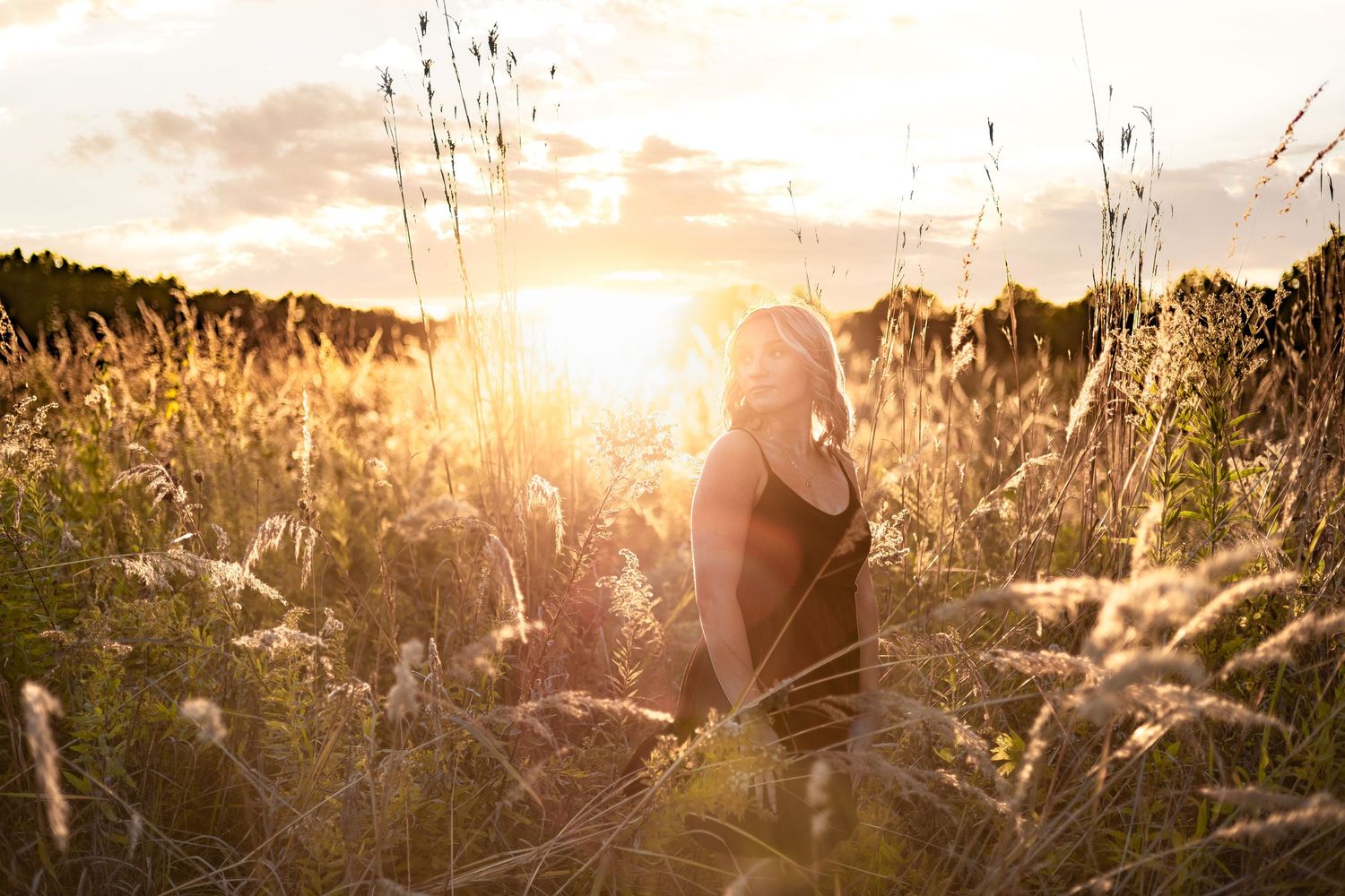 Golden sunlight streaming through tall grass silhouettes at sunset.