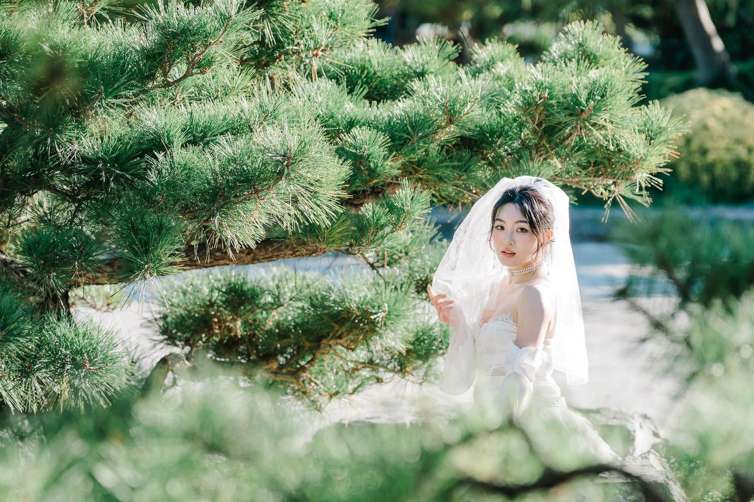 A bride in a white wedding dress and veil sits among delicate green pine branches in a soft outdoor setting.