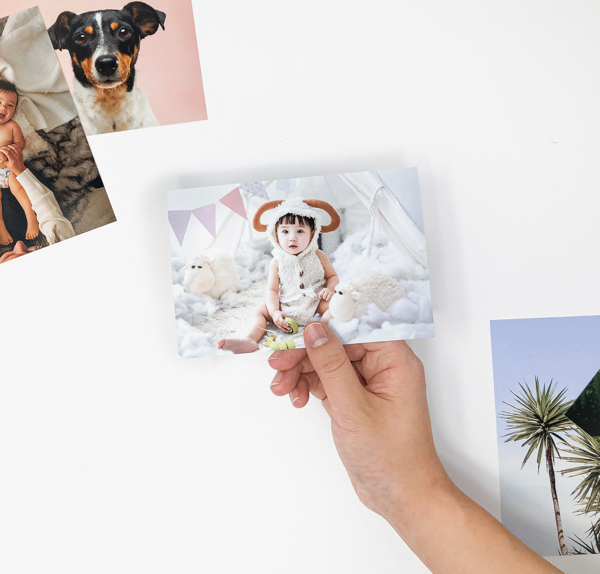 Hand holding a photo print of a cat while other pet photos are scattered on a white surface.