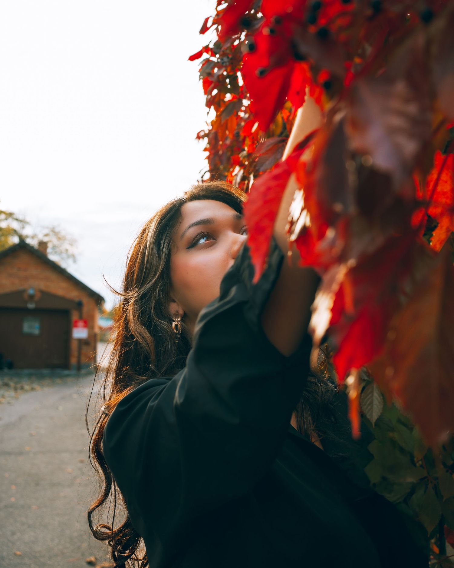 Artistic portrait series with vibrant red autumn foliage framing the subject in black clothing.