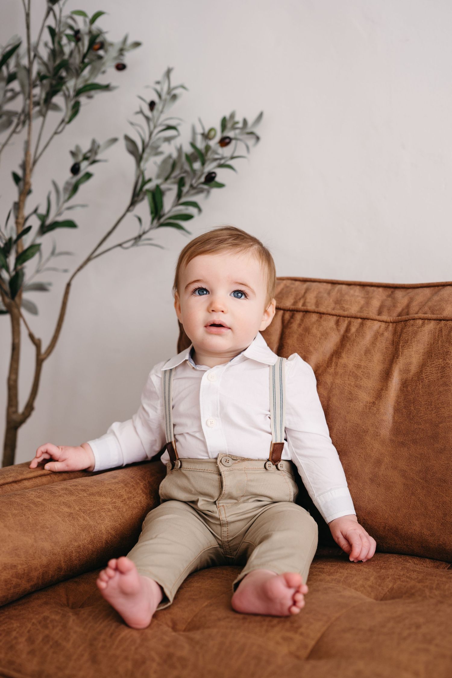 Baby wearing white shirt and suspenders sitting on brown leather couch with plant decor.