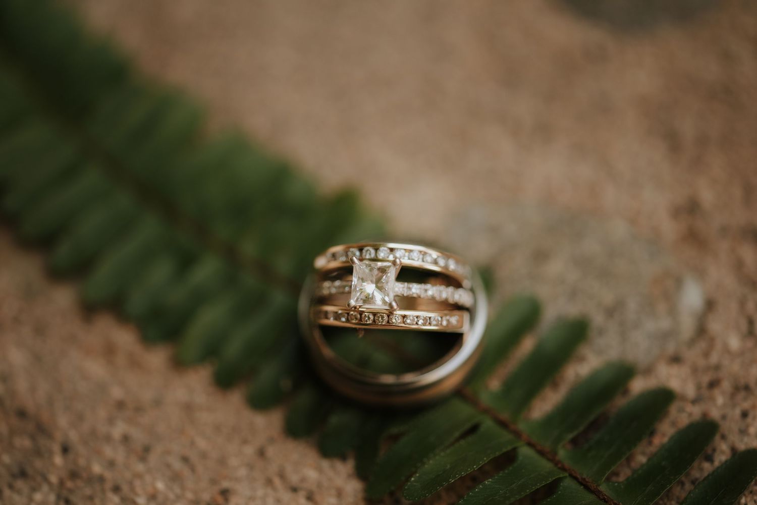 Wedding rings photographed on a textured surface with delicate details.