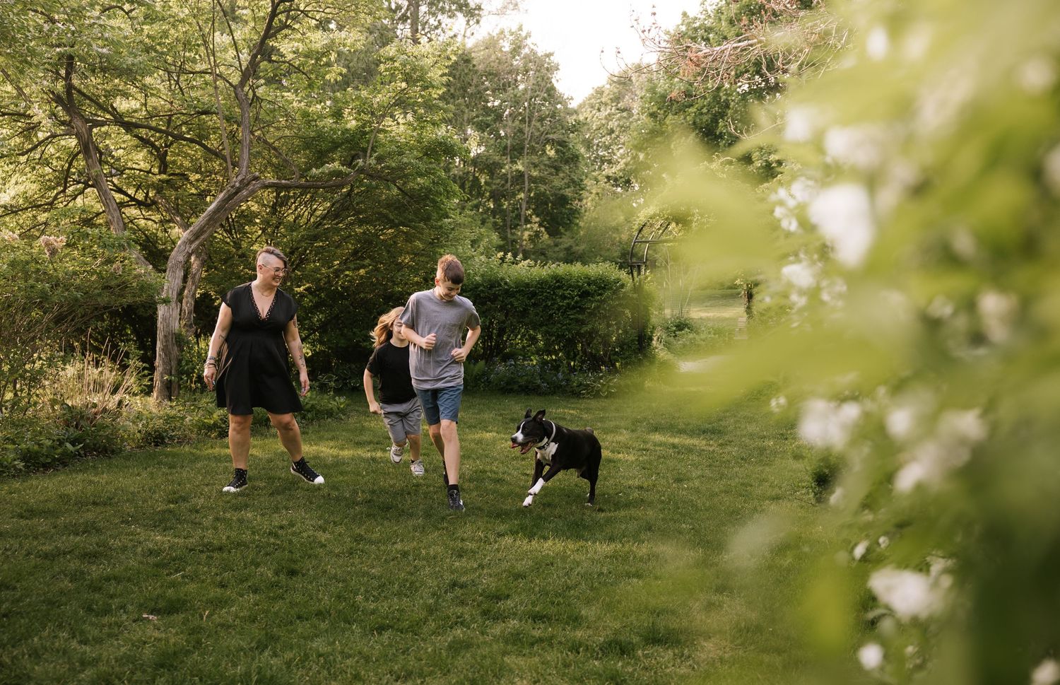Two adults and a child play with a Border Collie dog in a lush green garden surrounded by trees.
