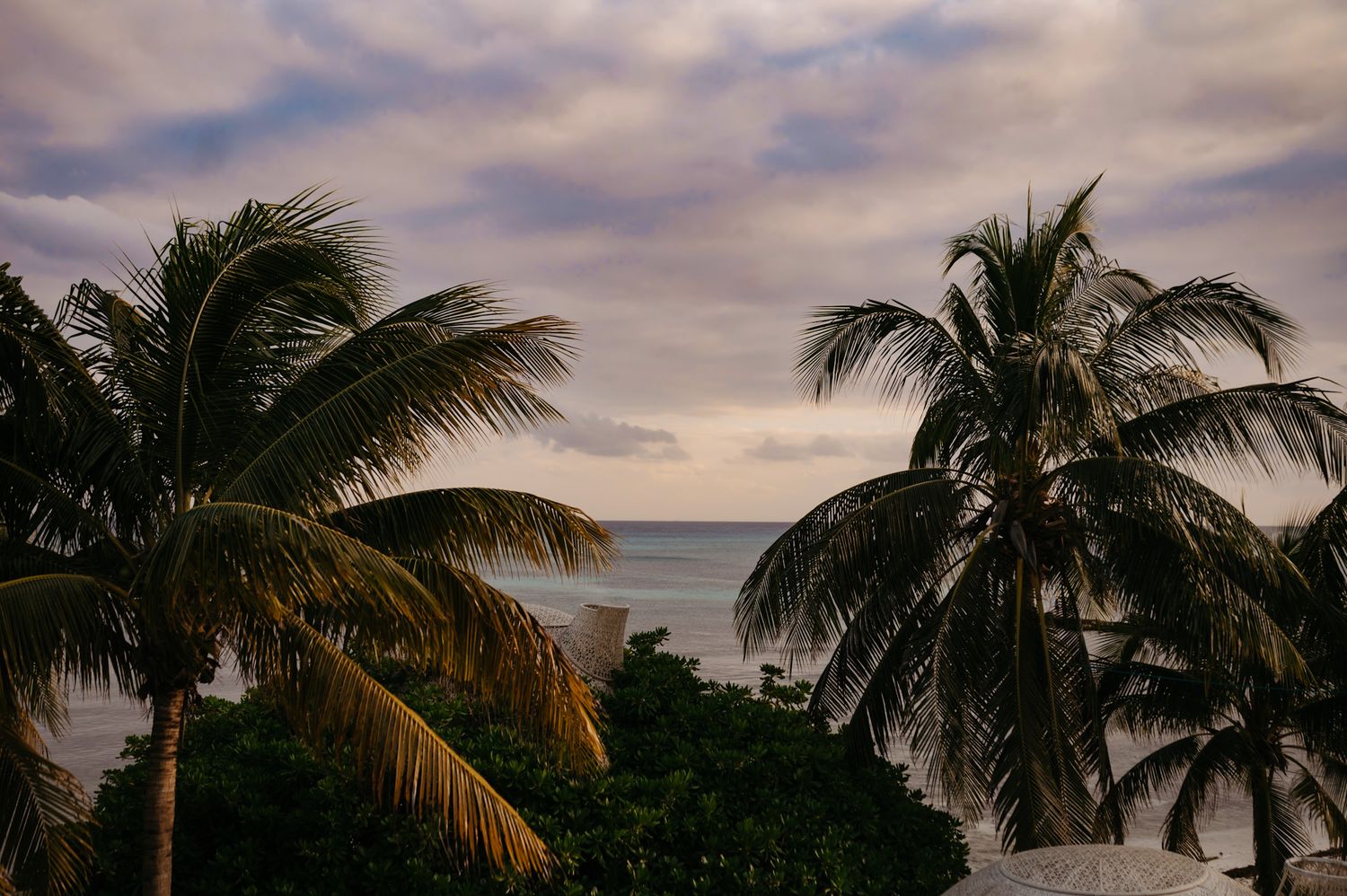 Palm trees sway against a dramatic sunset sky over a tropical ocean view.