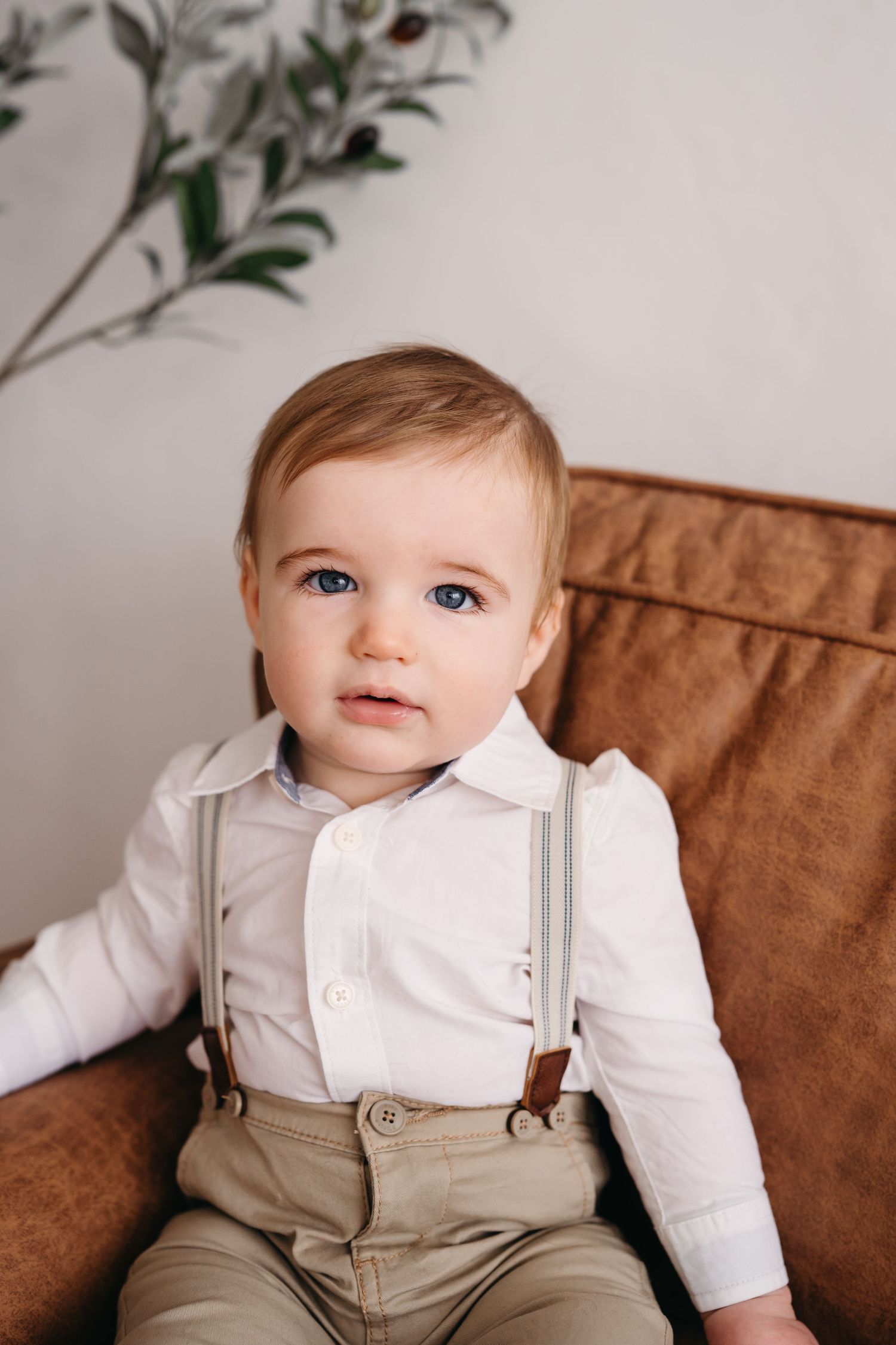 Small child in white dress shirt and khaki pants with suspenders sits on brown leather chair.