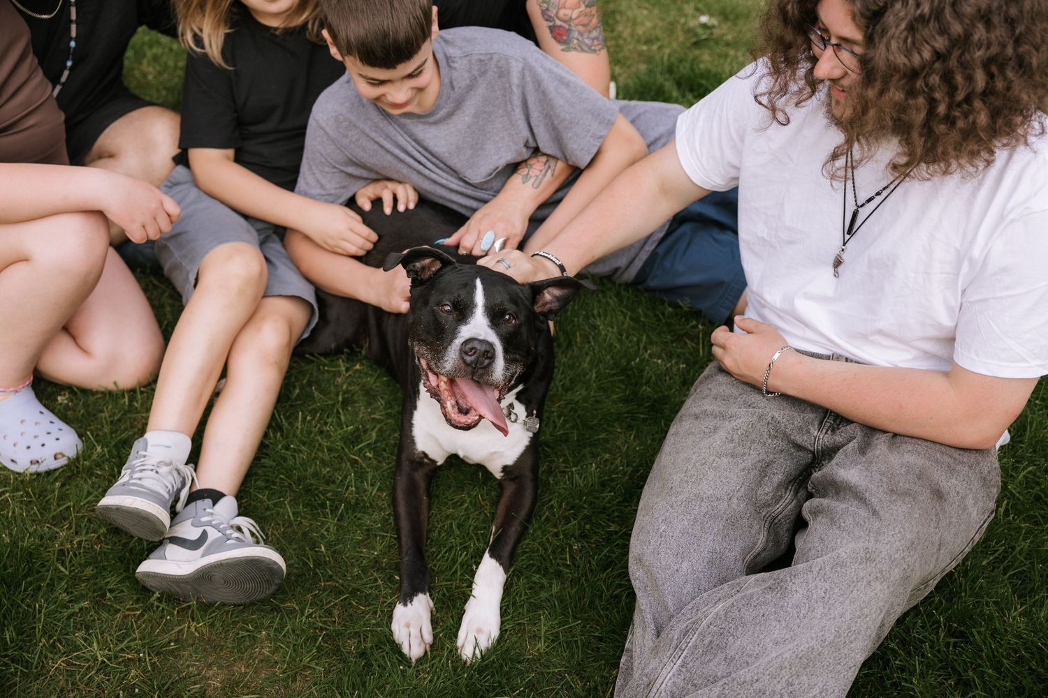 Group of teens petting a happy black and white Boxer dog while sitting together on green grass outdoors.