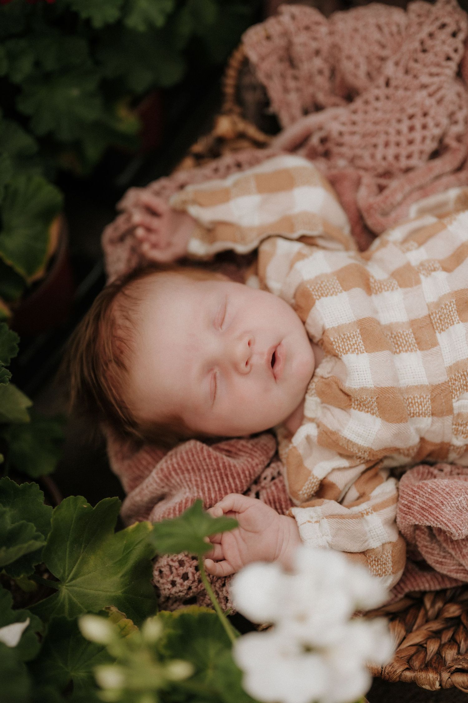 Artistic newborn photography with baby sleeping among garden flowers and checkered fabric.