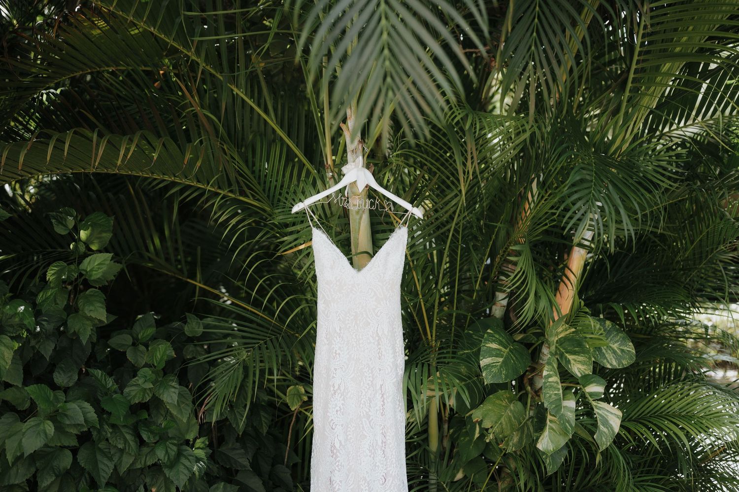 Elegant white wedding gown hanging on display against tropical palm leaves.