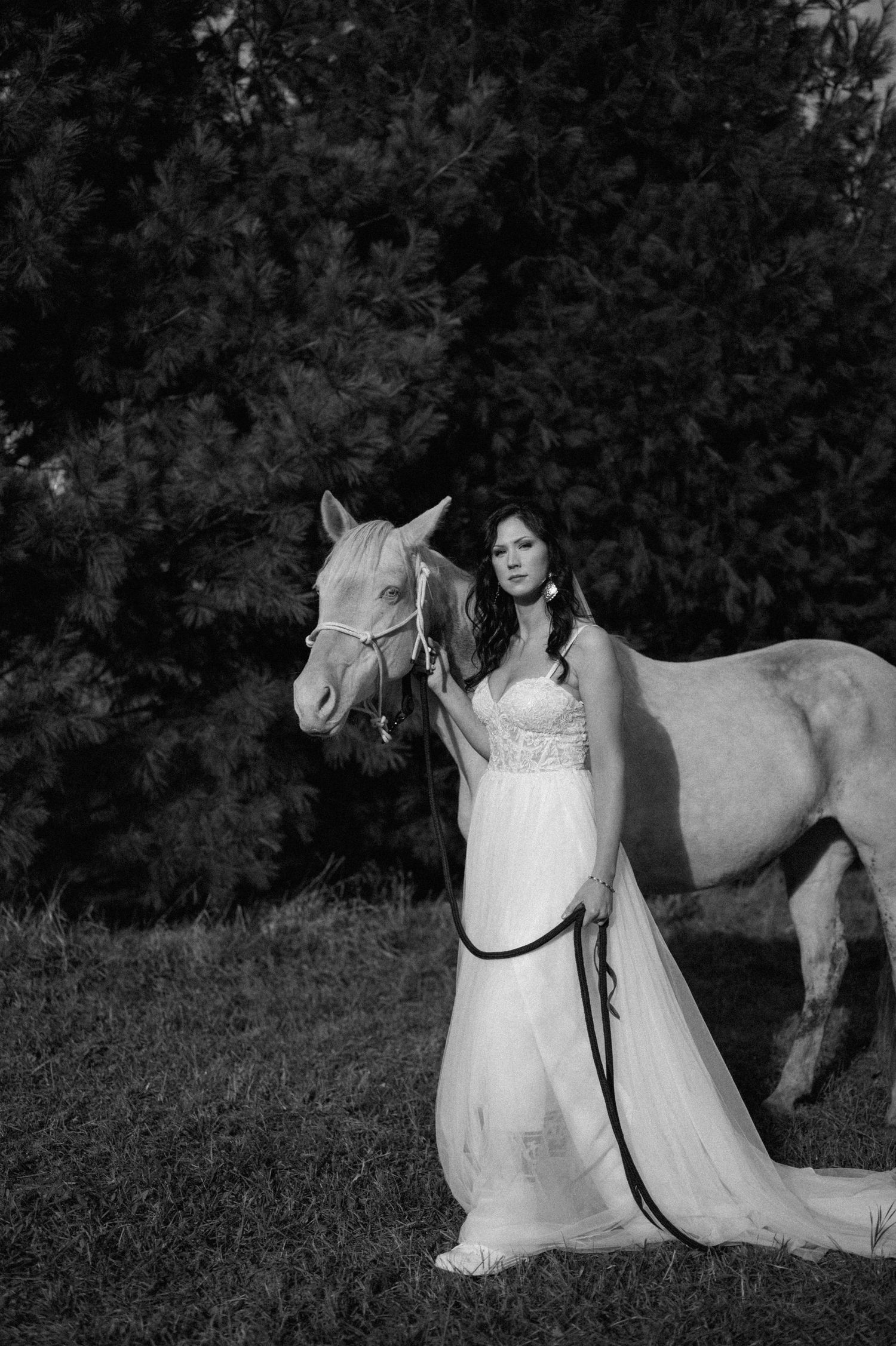 Black and white photos of a white horse with someone in a wedding dress in a garden setting.