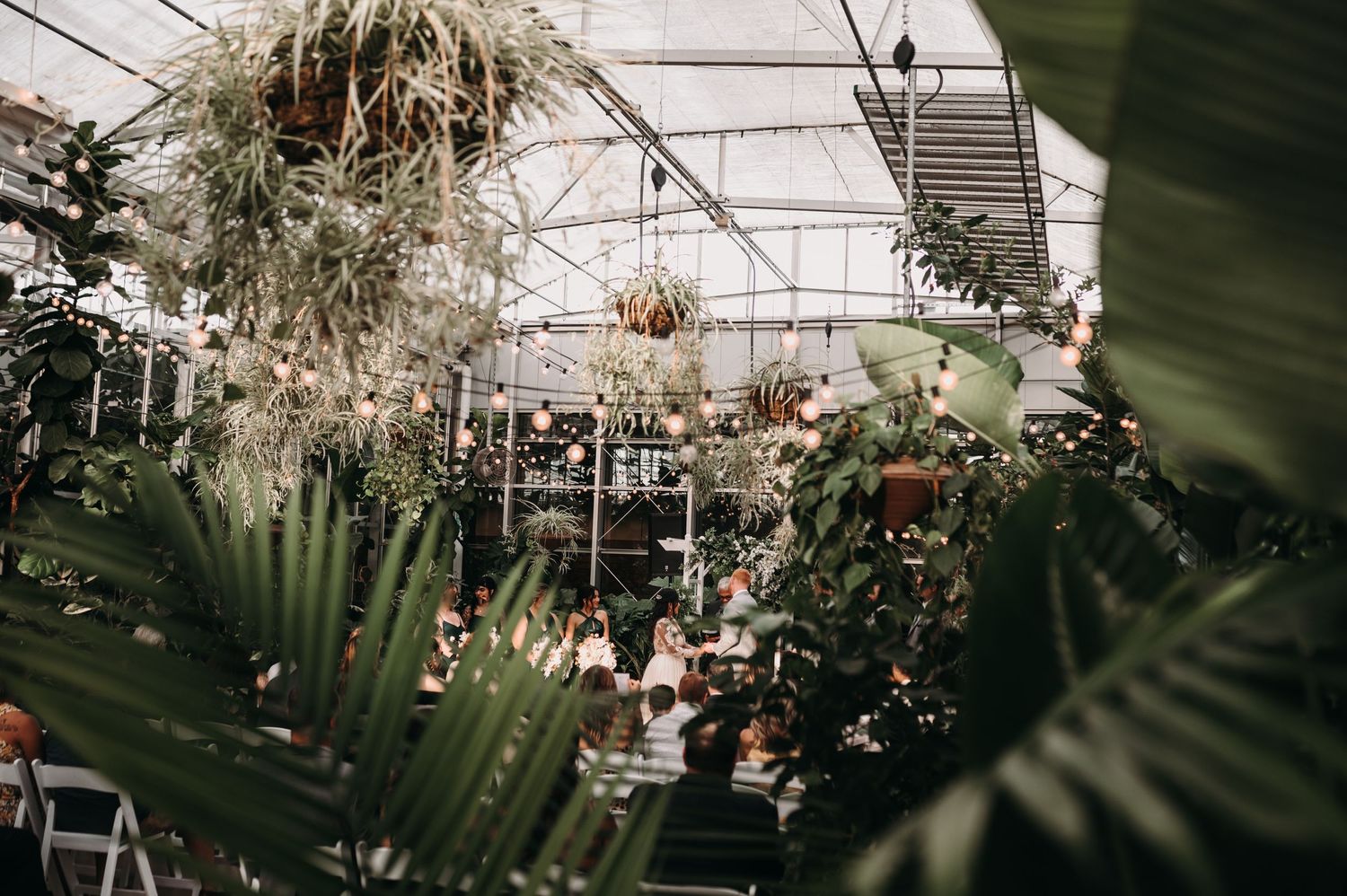 Greenhouse wedding venue with hanging plants and string lights creating a romantic atmosphere.
