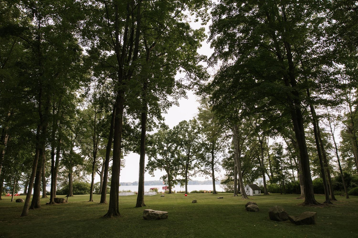 Panoramic view of a tree-lined lawn with scattered guests during a wedding reception.