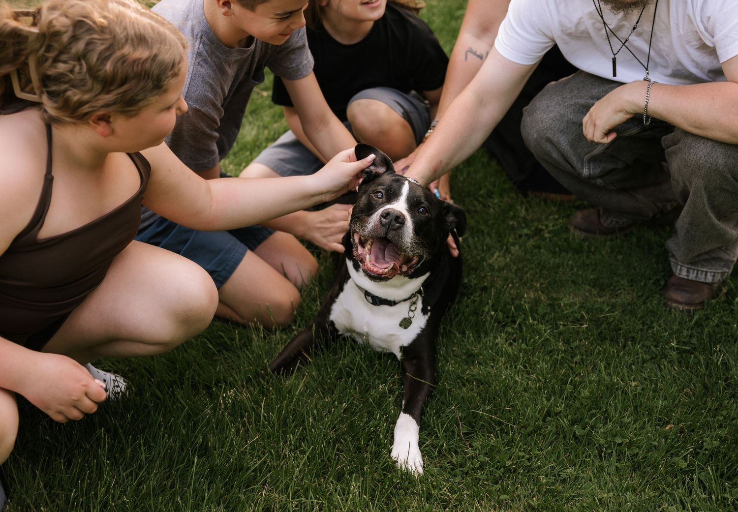 A happy black and white dog being petted by a group of people sitting on green grass outdoors.