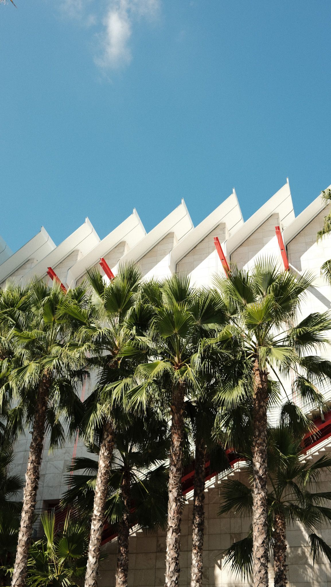 Modern white angular architecture with palm trees and red accents under blue sky.