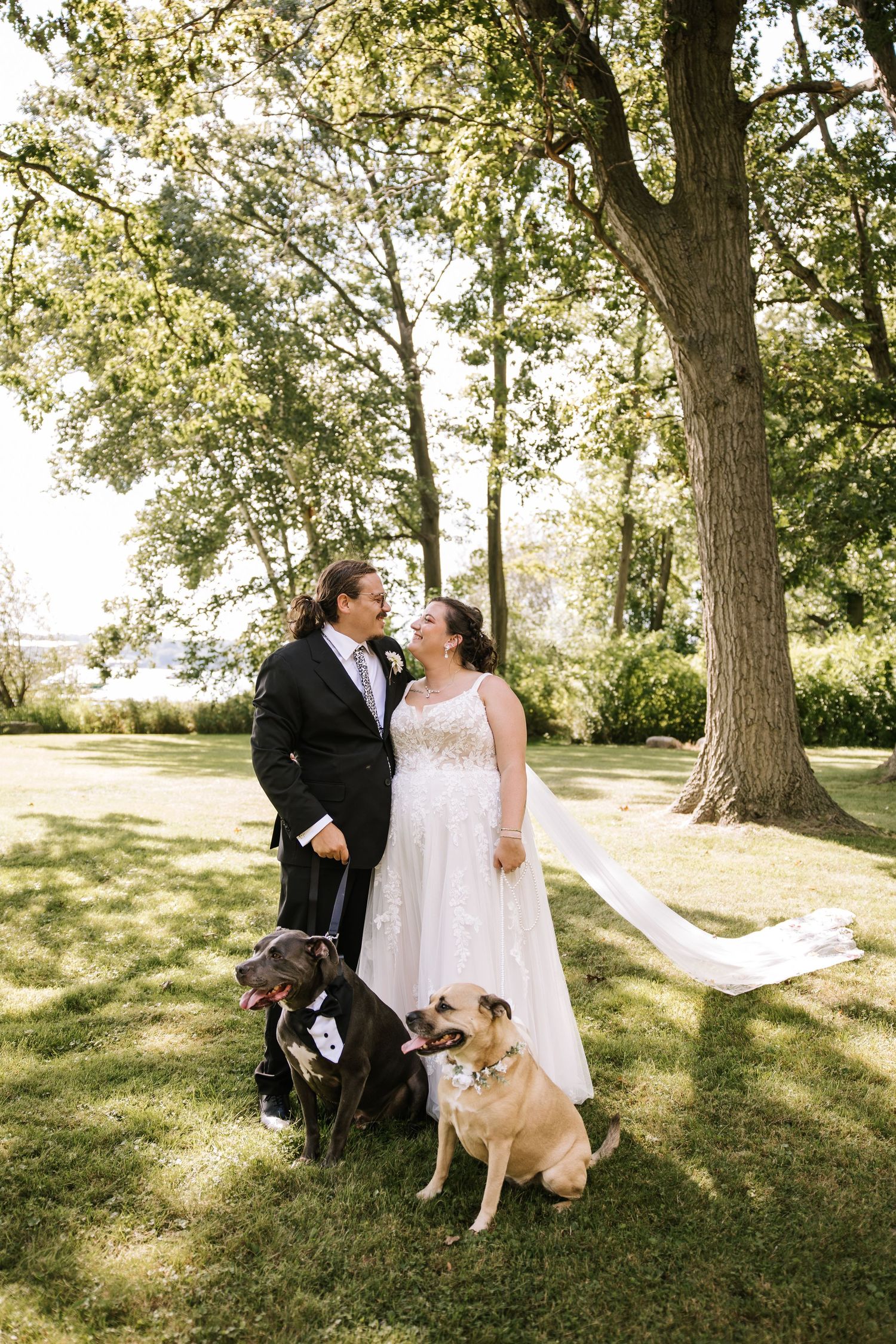 A couple poses with their dog under large trees during their wedding photoshoot.