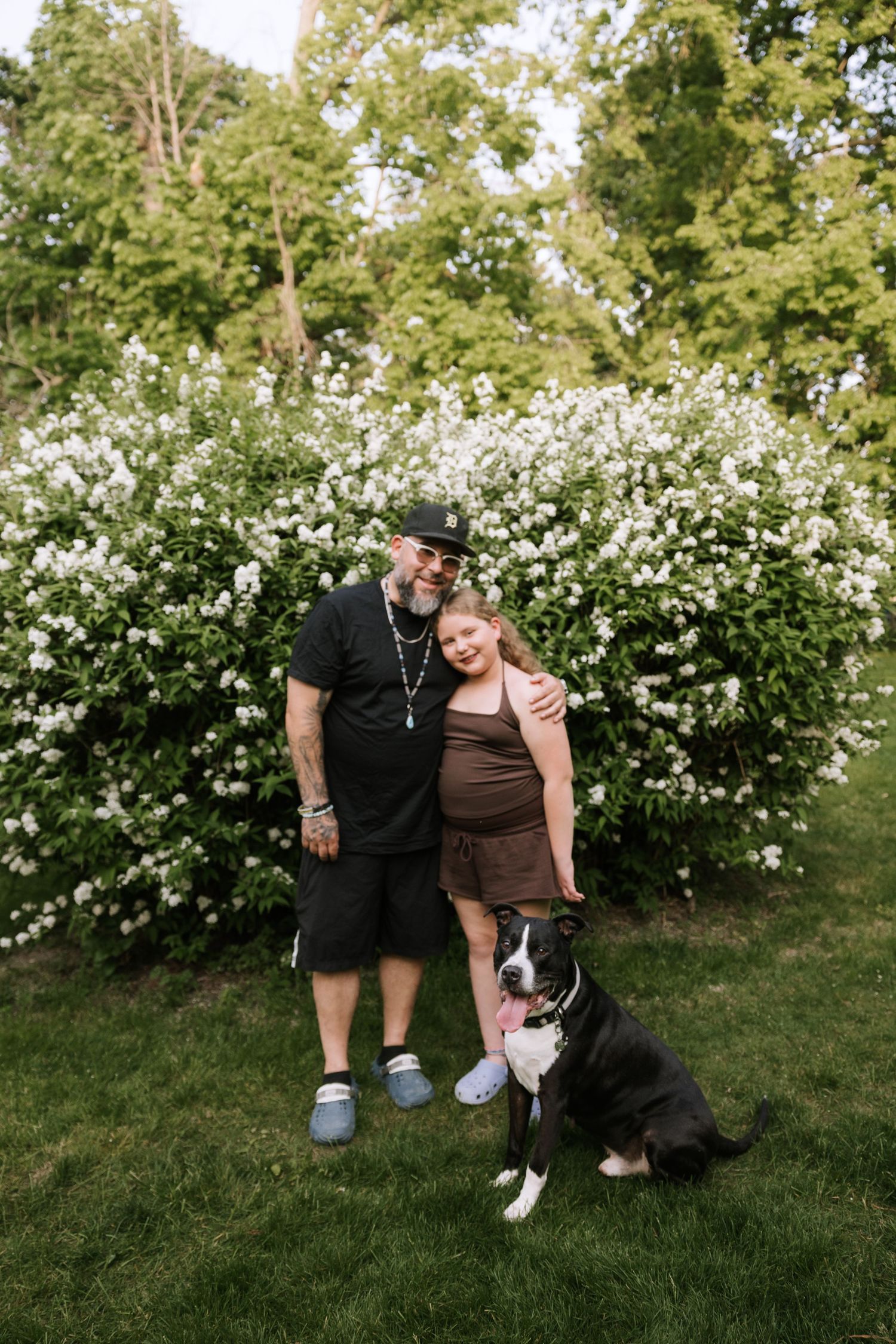 Man and young girl smiling with their black and white Boxer dog in front of white flowering shrubs.