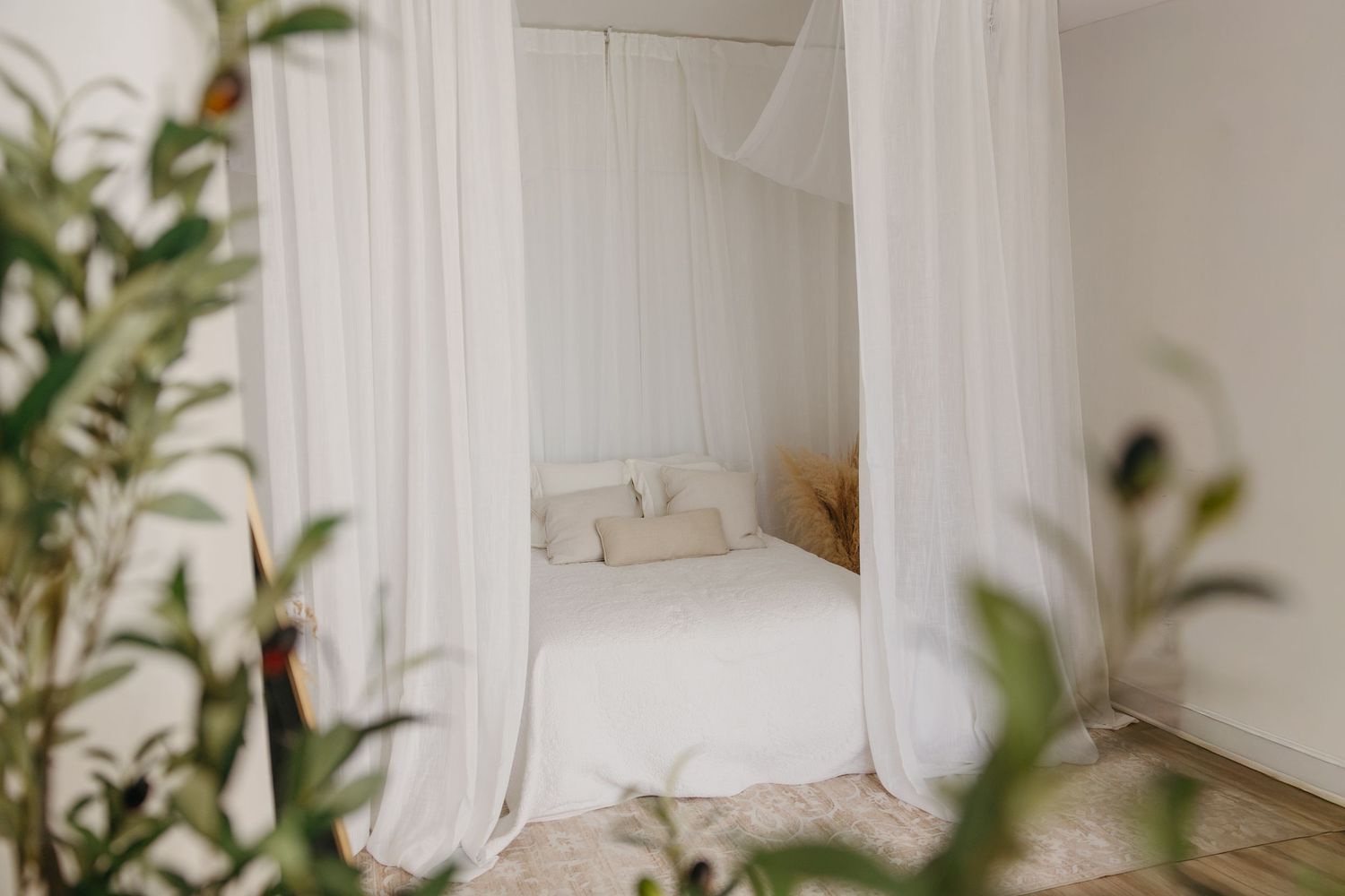 White studio space with flowing curtains and green plants creating a serene atmosphere.
