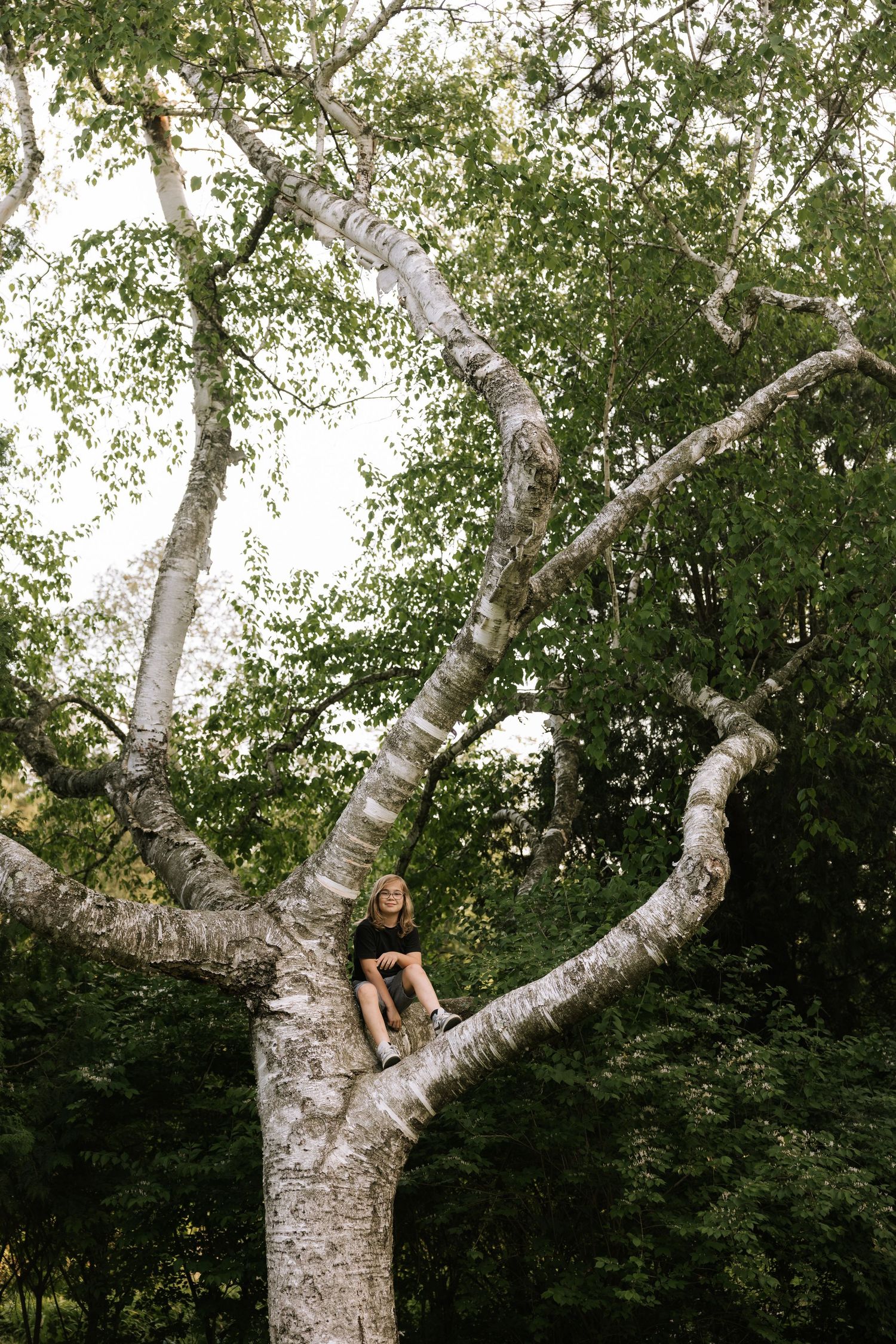 Young girl sitting confidently in the branches of a large white birch tree surrounded by green forest foliage.