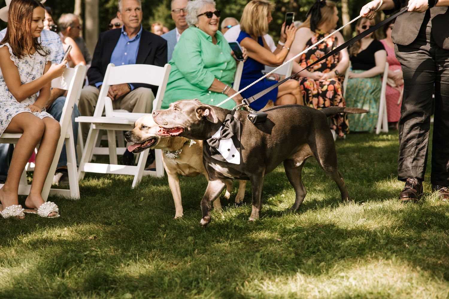Wedding guests seated in white chairs on a sunny lawn during an outdoor ceremony.