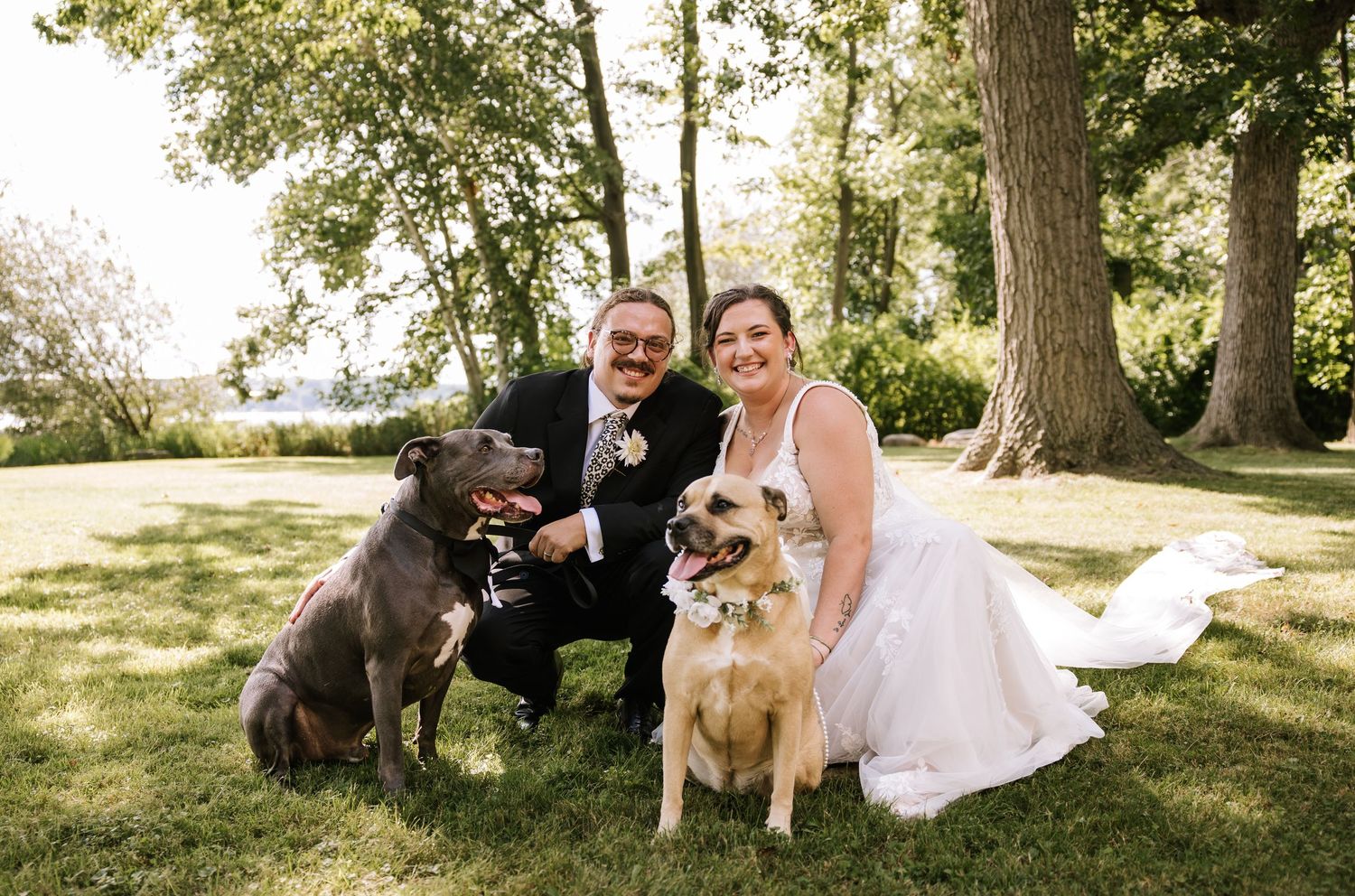 Couple sits with their dogs under shady trees during an outdoor photo session.