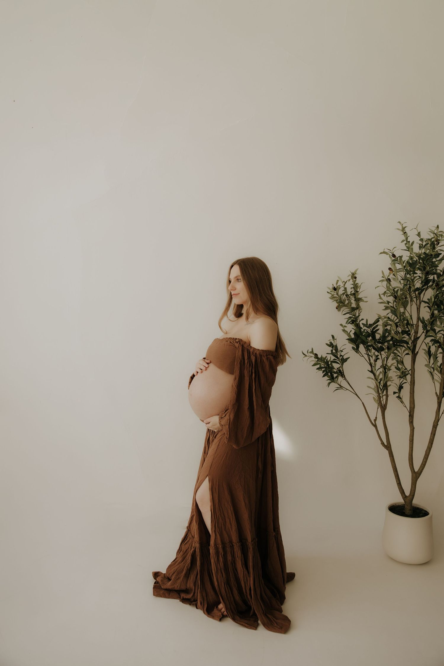 Artistic maternity portrait in brown flowing dress with potted plant accent.