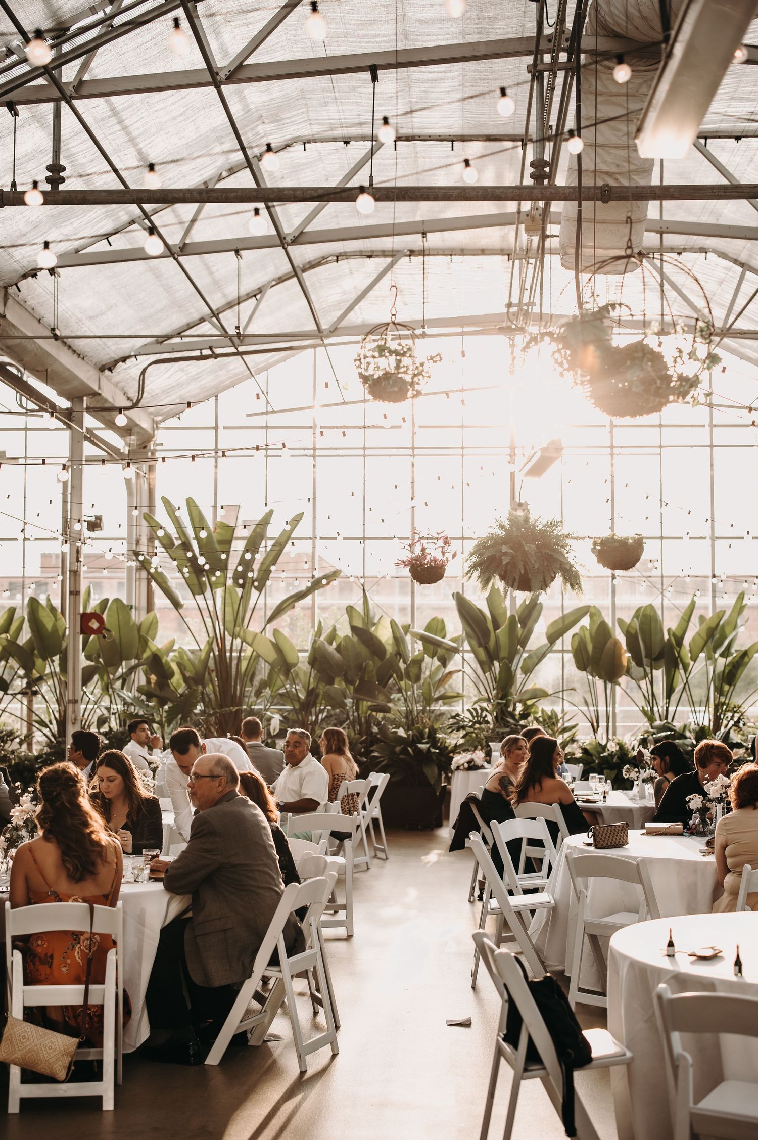 Reception setup in a greenhouse with white chairs, round tables, and tropical plants.