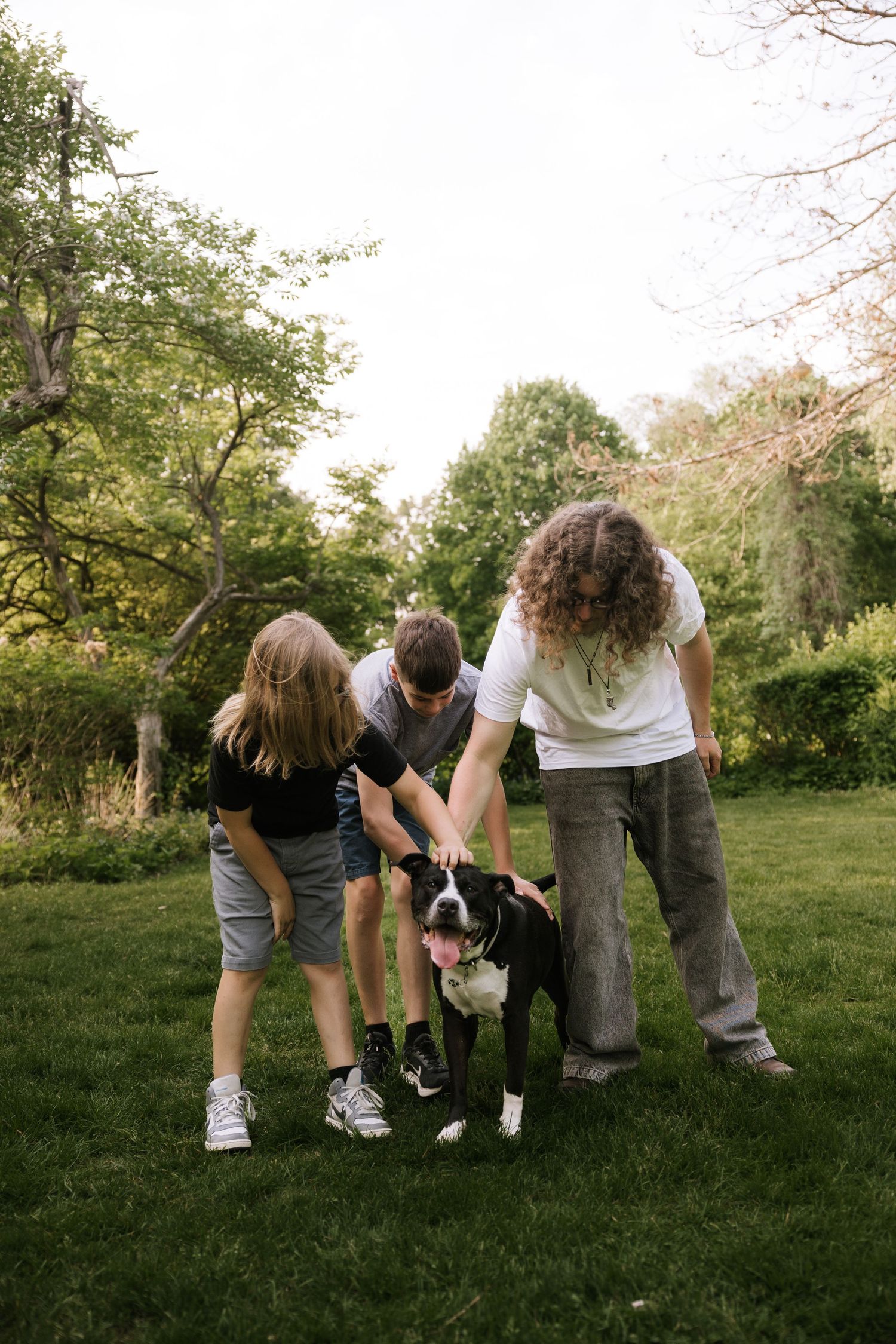 Three children petting a black and white Boxer dog on a lush green lawn surrounded by trees.