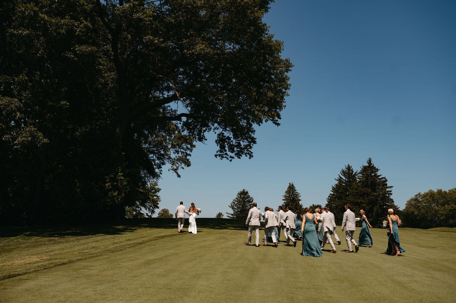 Wedding guests gathered on a grassy hilltop under clear blue skies.