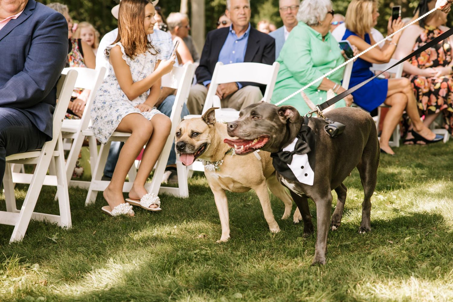 Wedding guests sit in white chairs on a sunny lawn during an outdoor summer ceremony.