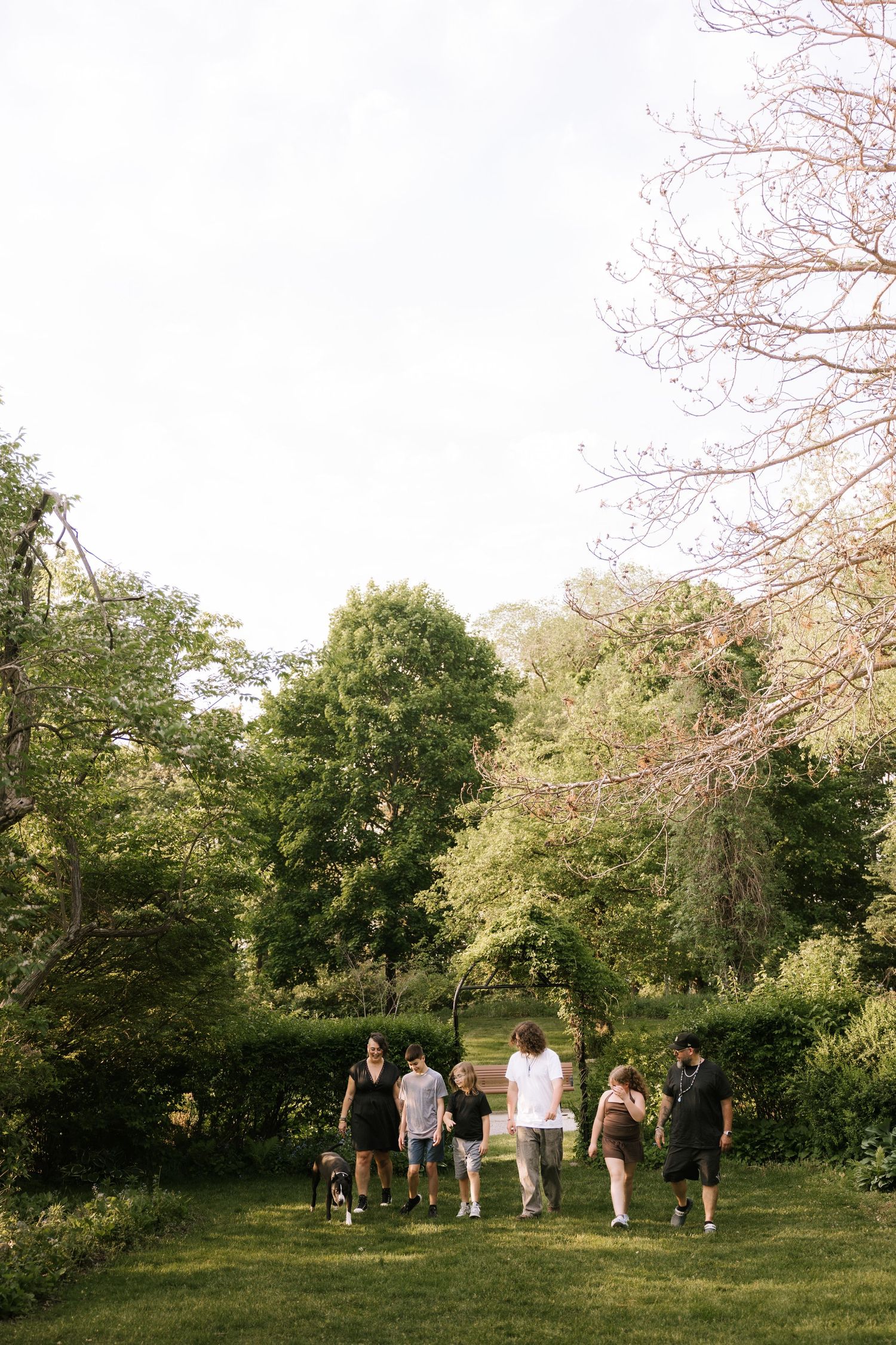Group of people gathered on a lush green lawn surrounded by tall trees in a serene outdoor park setting.