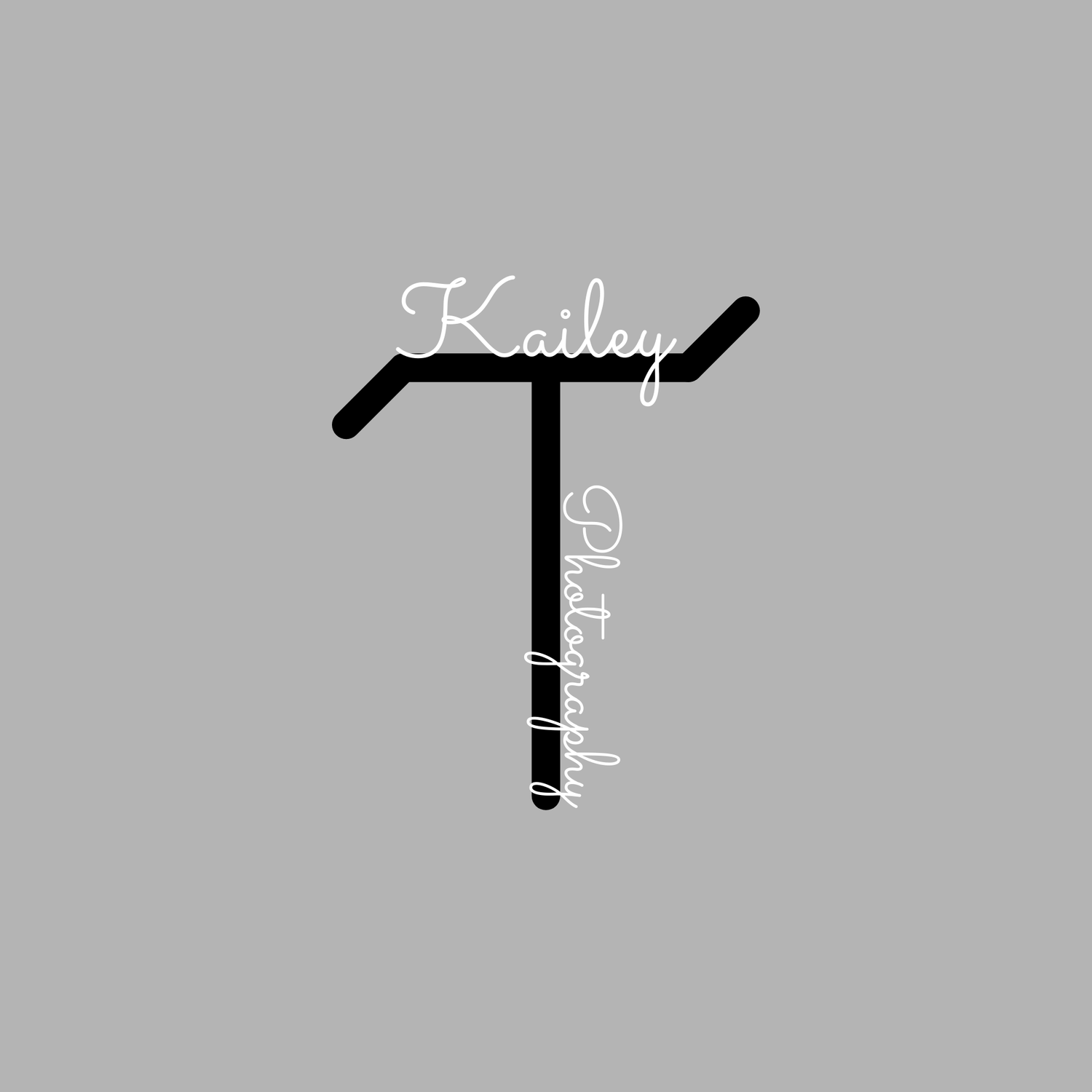 plain logo image