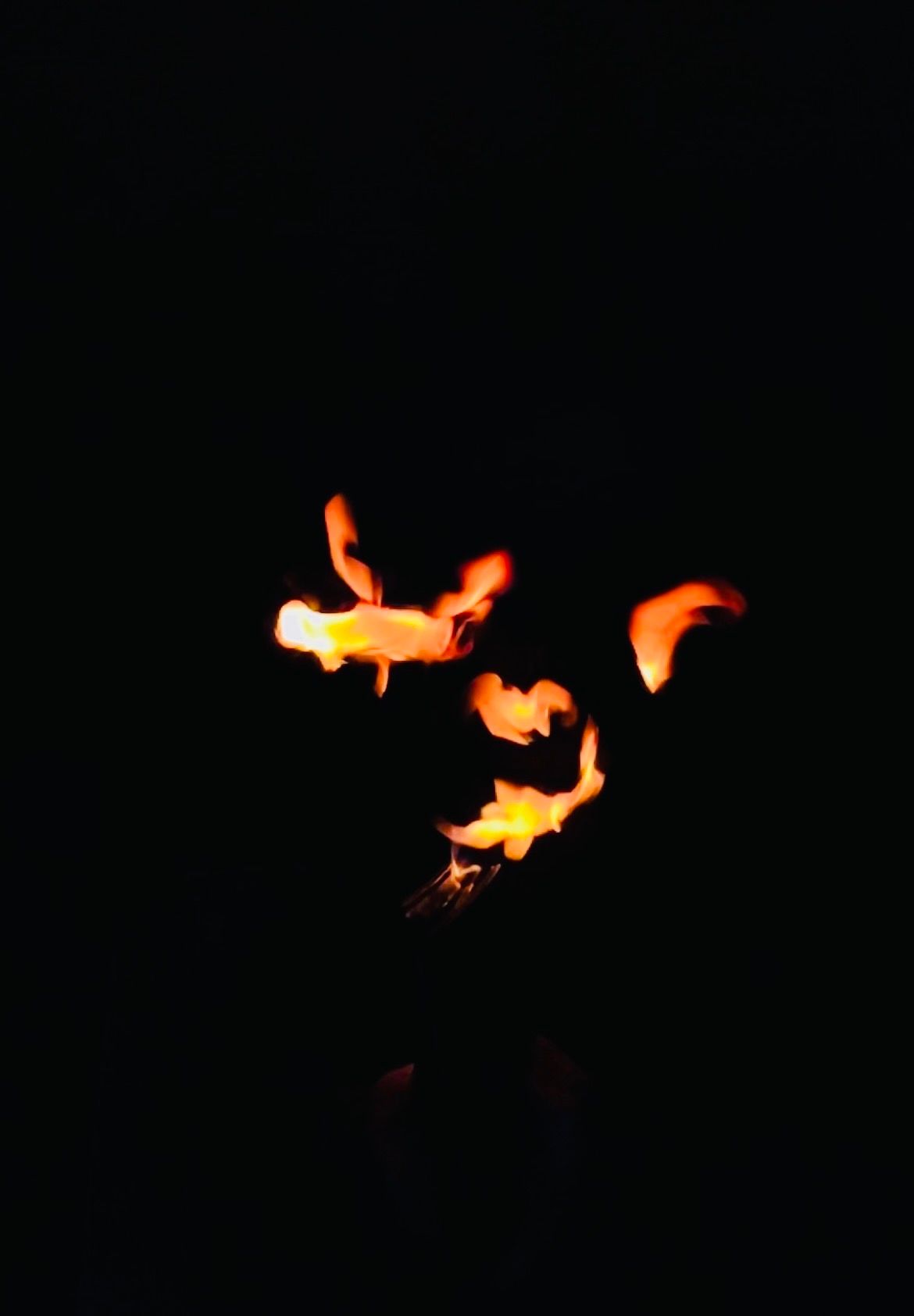 Vibrant orange flames burning against a pitch black background at night.