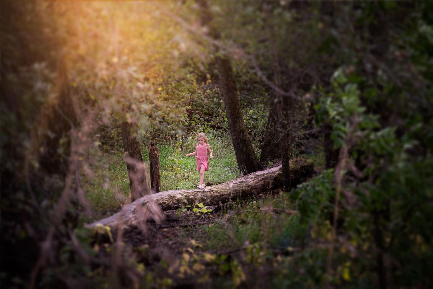 Young child in pink dress walking on a log in a lush green forest.