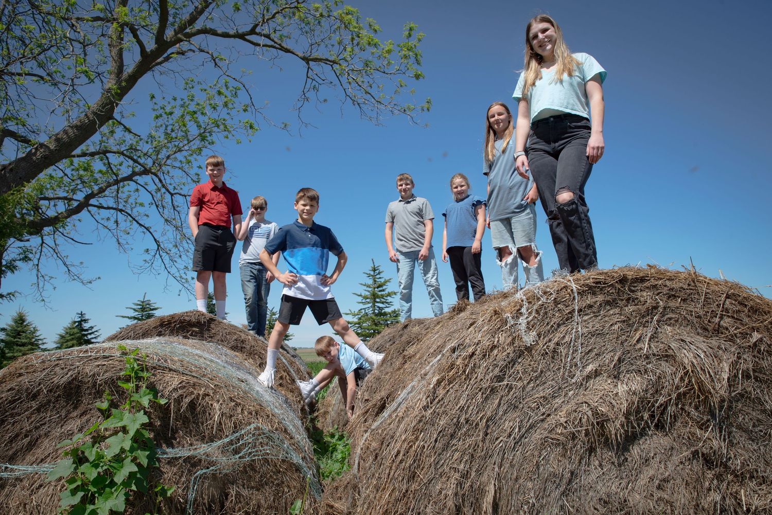 Large family group posing atop round hay bales under a clear blue sky on a farm.