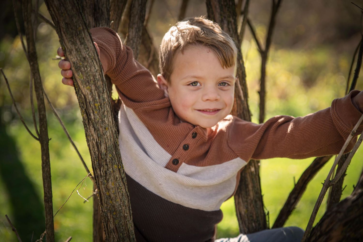 Smiling young boy climbing between two tree trunks outdoors in golden sunlight.
