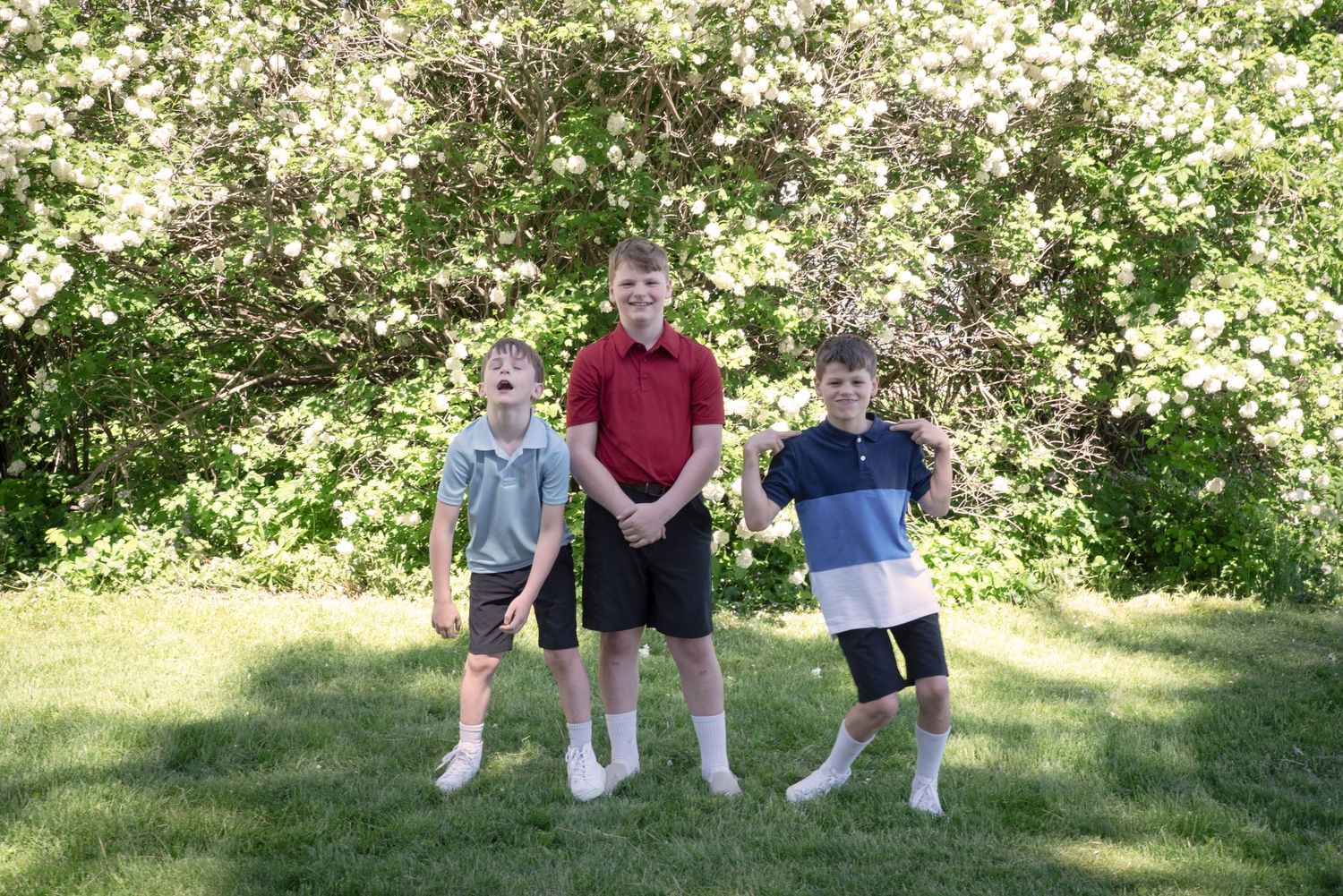 Three boys standing on green grass in front of flowering white bushes outdoors.
