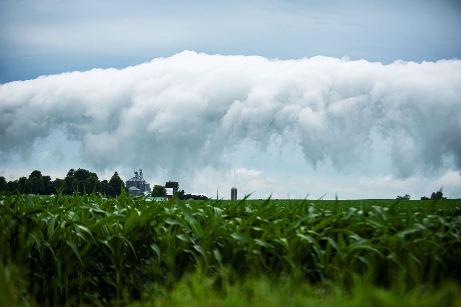 Dramatic storm clouds roll over a lush green cornfield with farm buildings visible on the horizon.