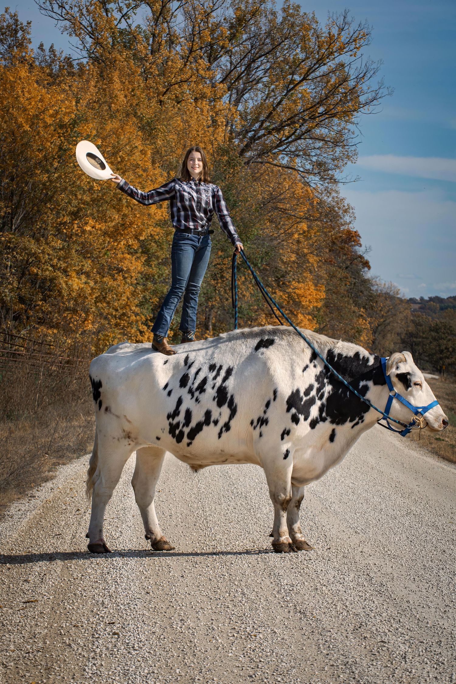 Adventurous woman standing on a black and white cow while holding a hat on a country road.