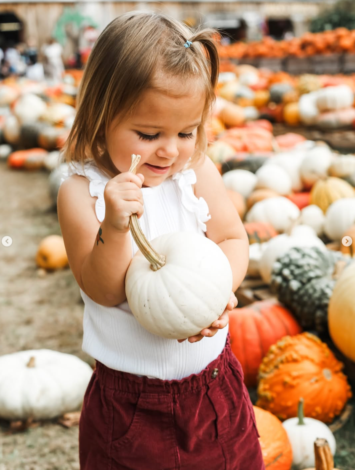 fall mini photoshoot Pelham NH