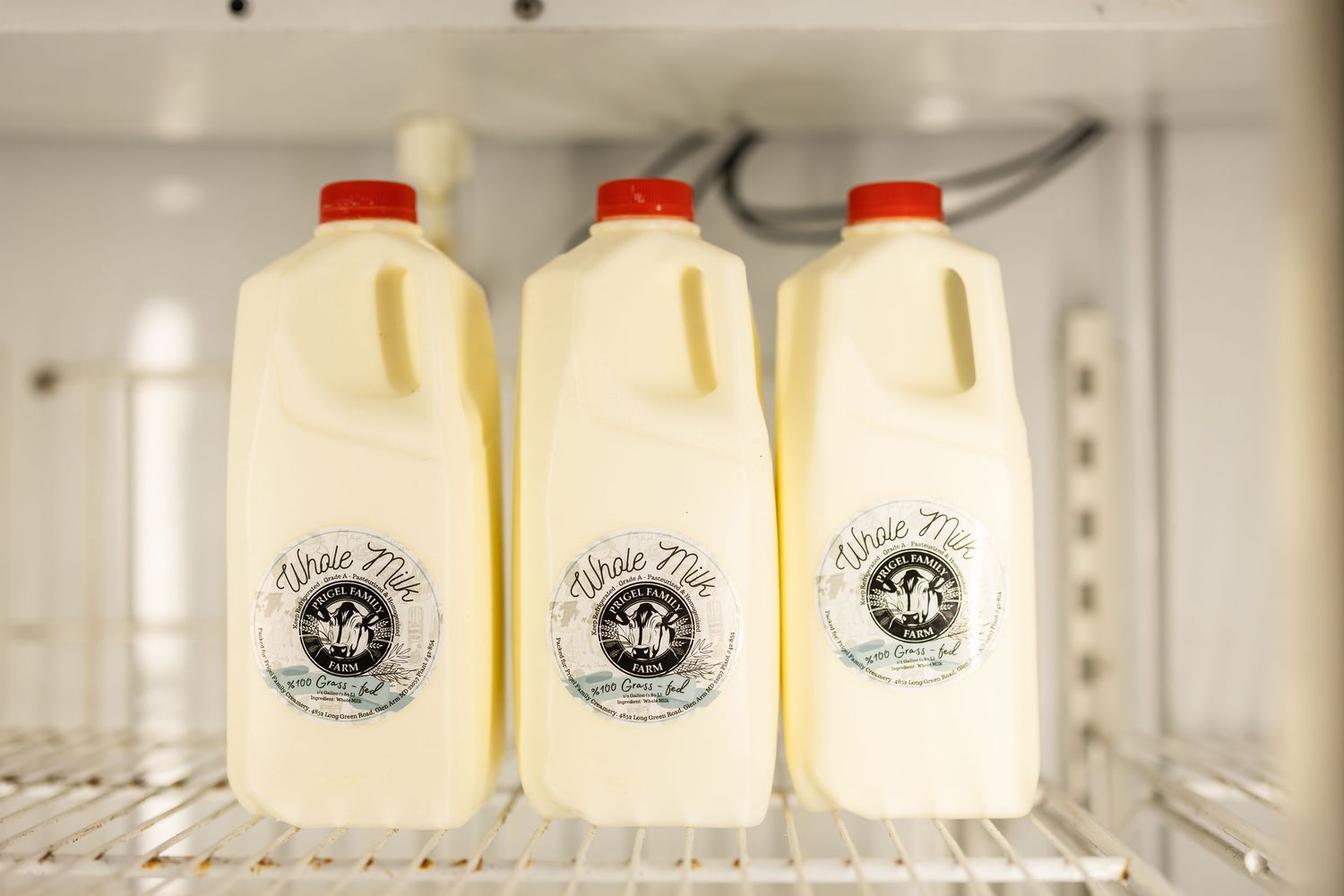 Three half-gallon jugs of whole milk with red caps stored on a refrigerator shelf.