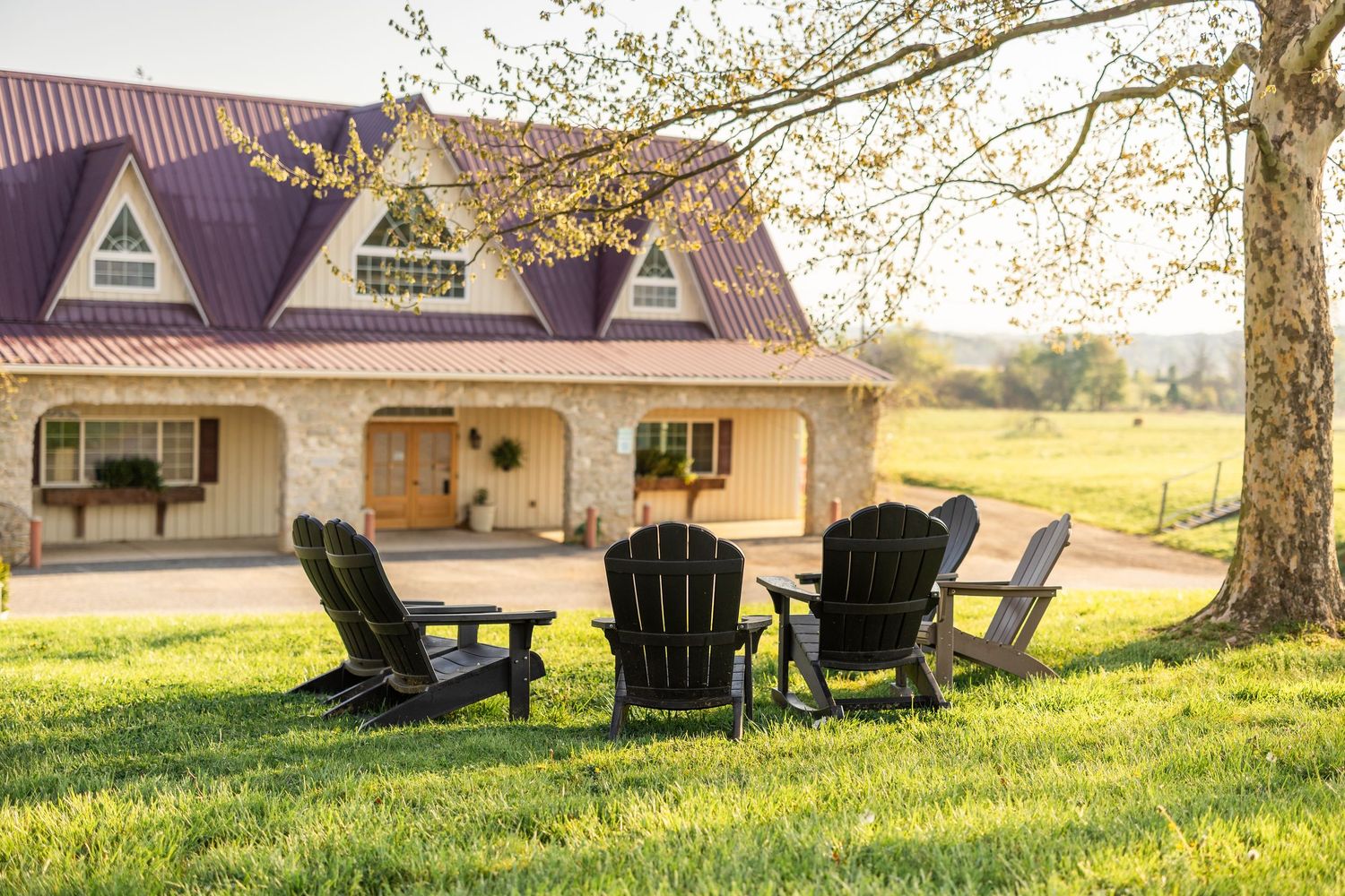 Adirondack chairs on green lawn facing charming stone farmhouse with purple roof at golden hour.