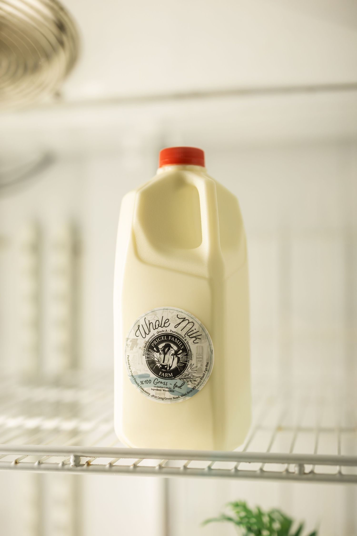 Half-gallon of whole milk with red cap and vintage label sitting on wire refrigerator shelf.
