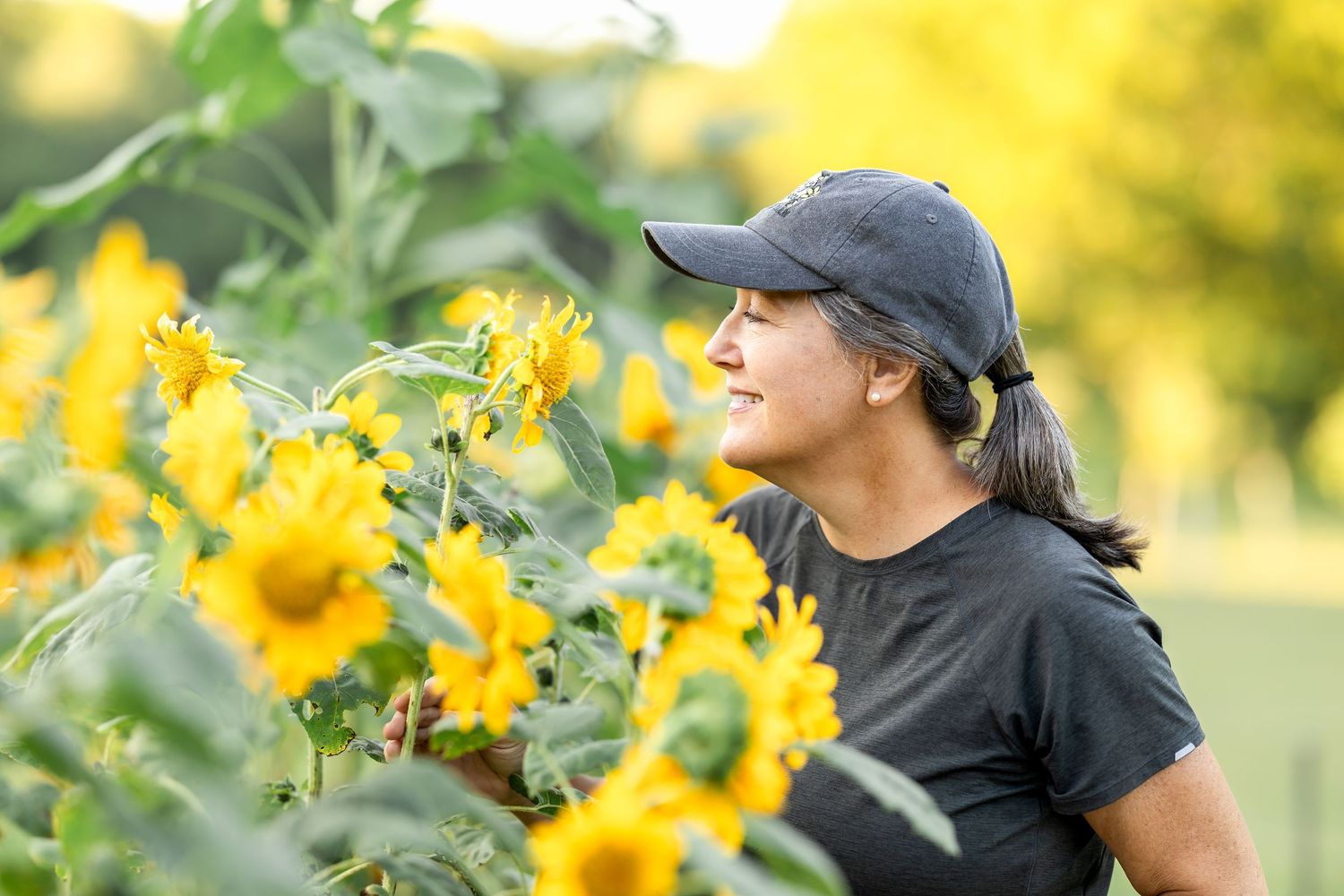 Yellow wildflowers bloom abundantly along a sunny garden path.