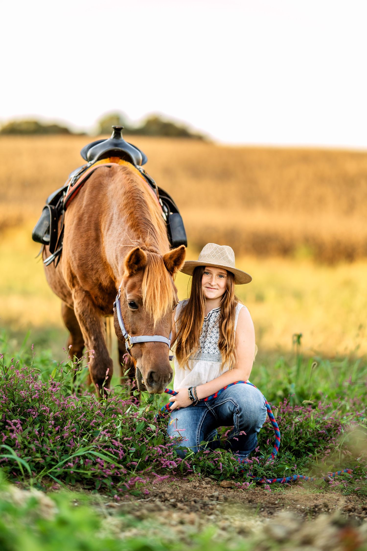Horses grazing in a field of purple wildflowers during golden hour.